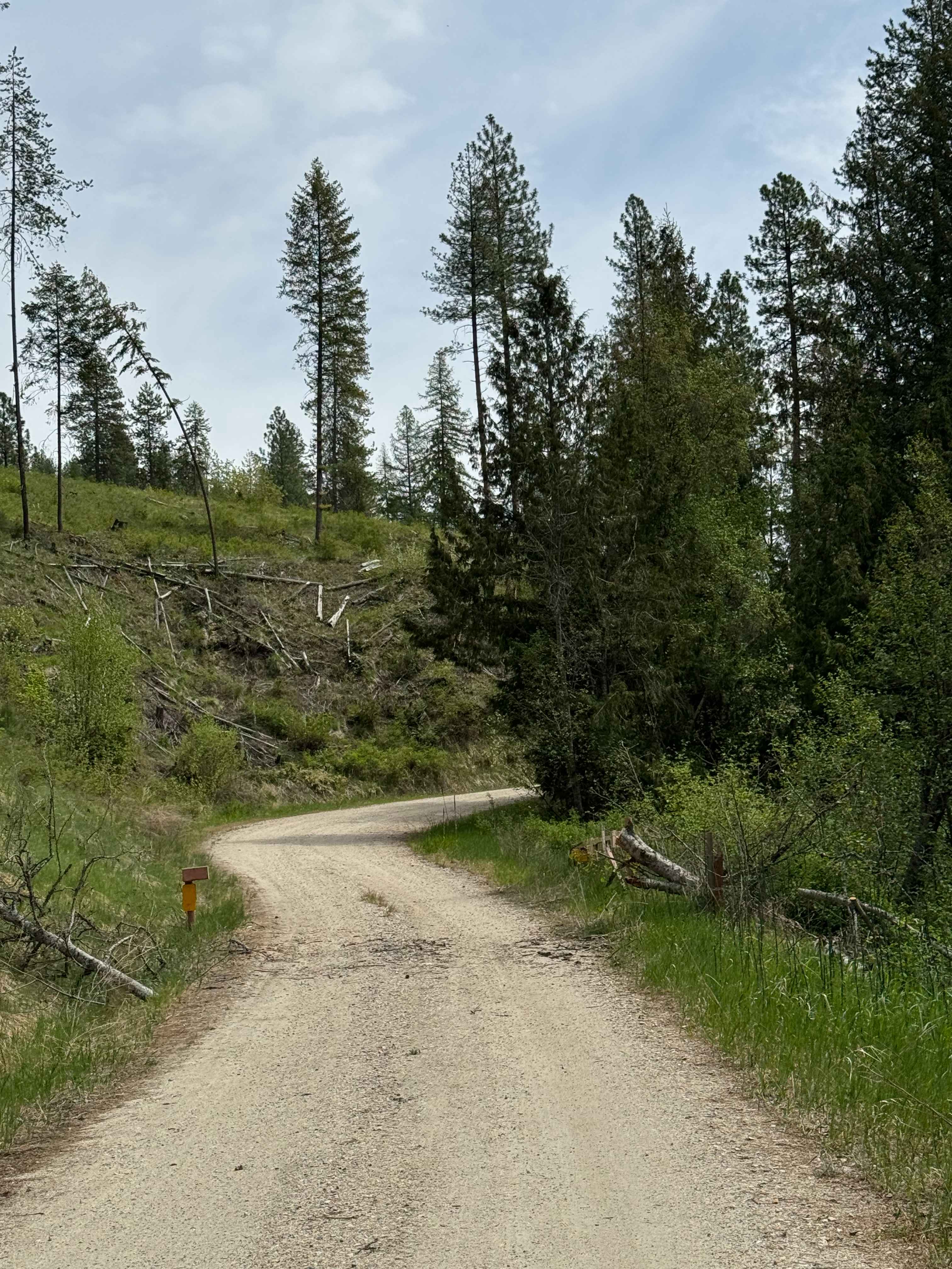 Lane Creek - FS 2000-220