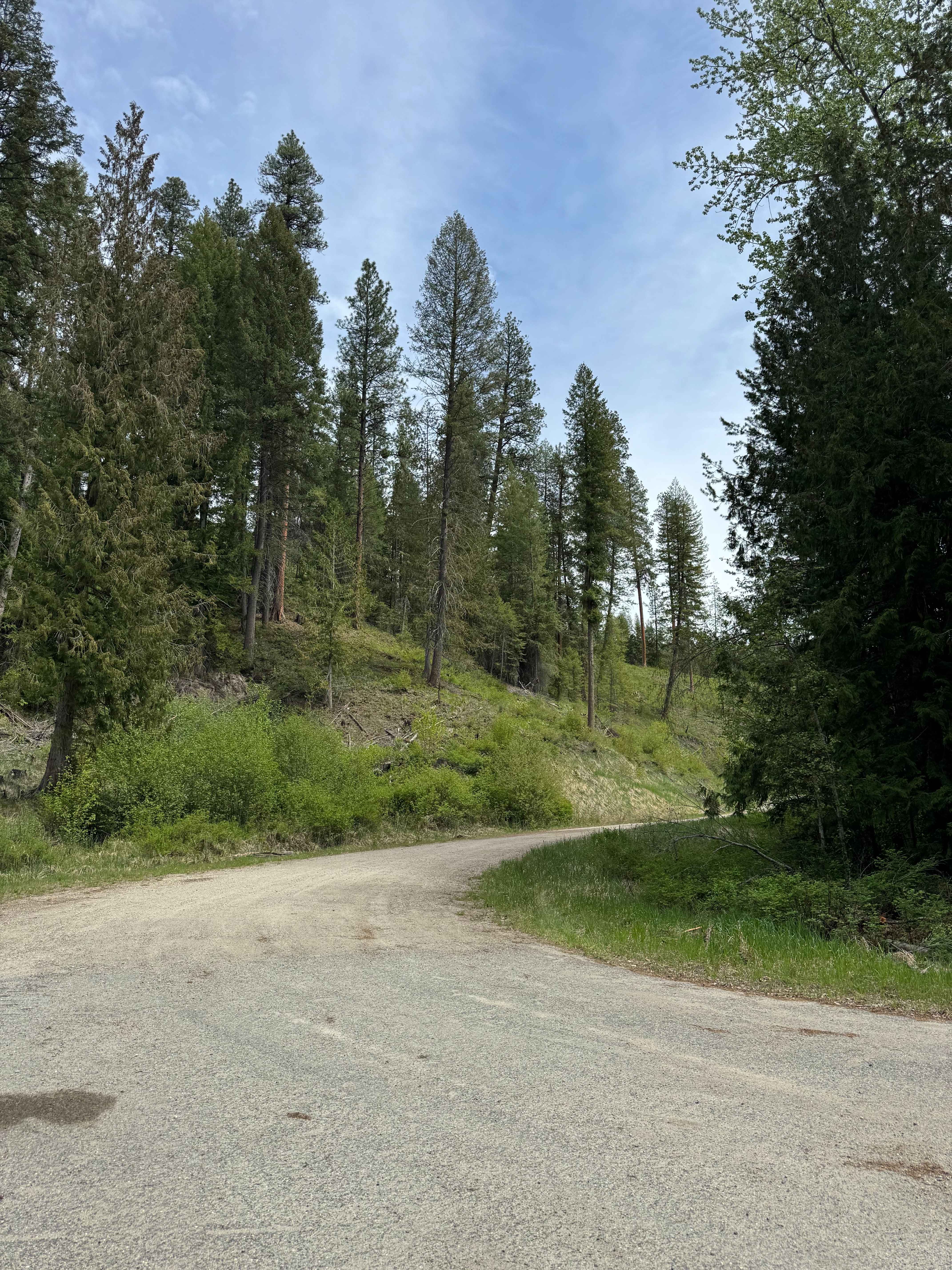 Lane Creek - FS 2000-220