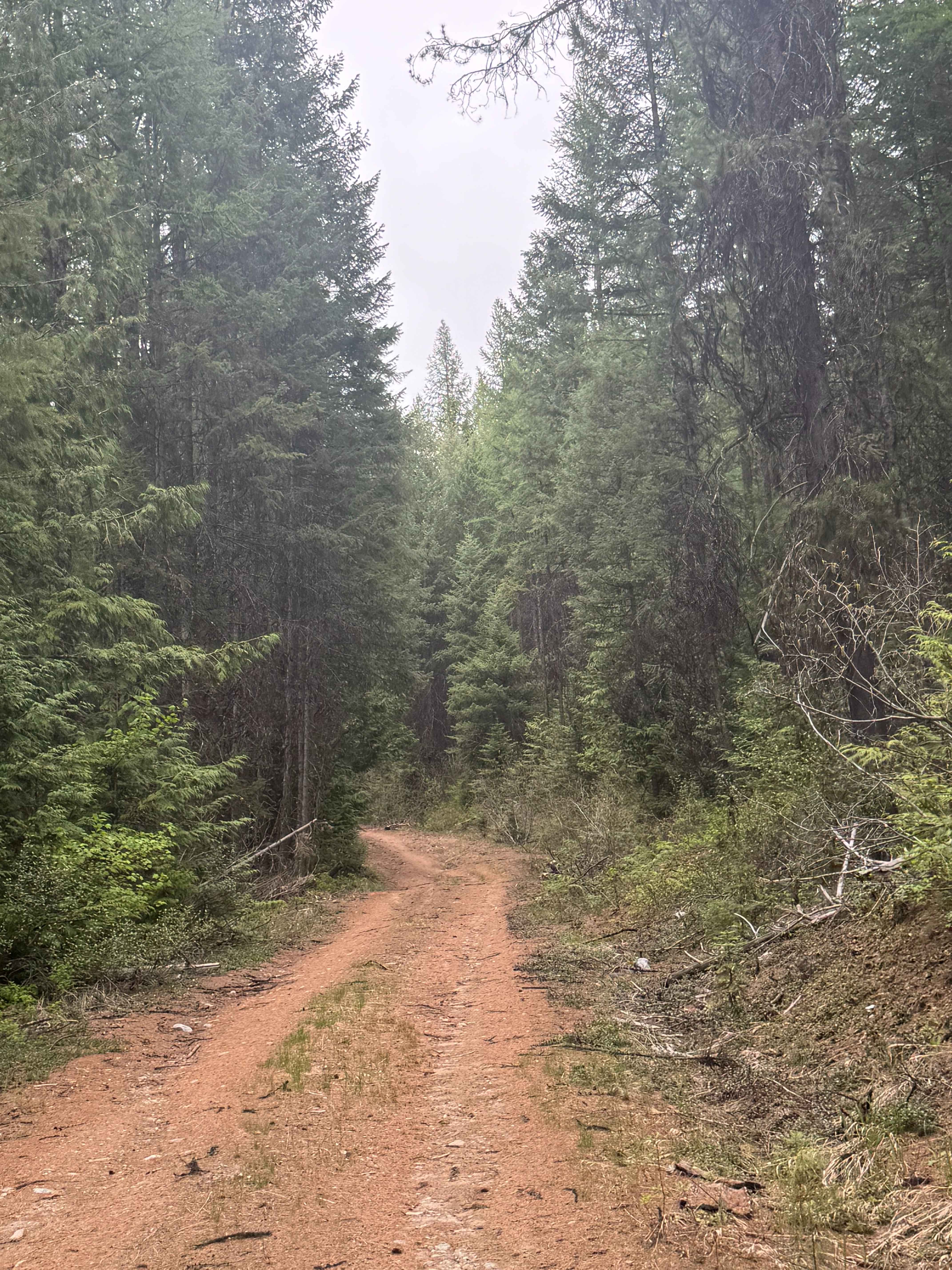 Upper Lane Creek - FS 2000-280