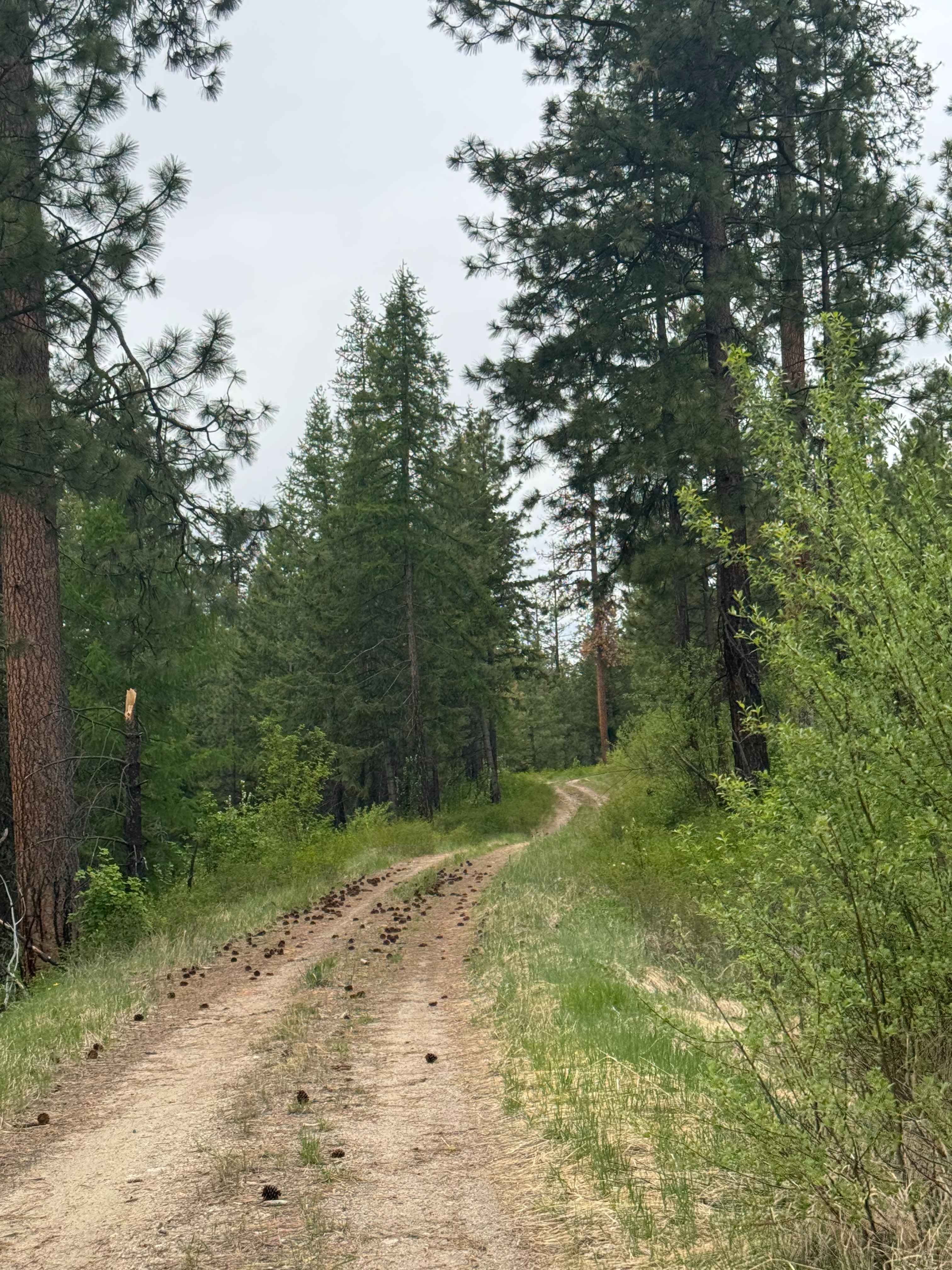 Hart Creek Ridge - FS 2000-325