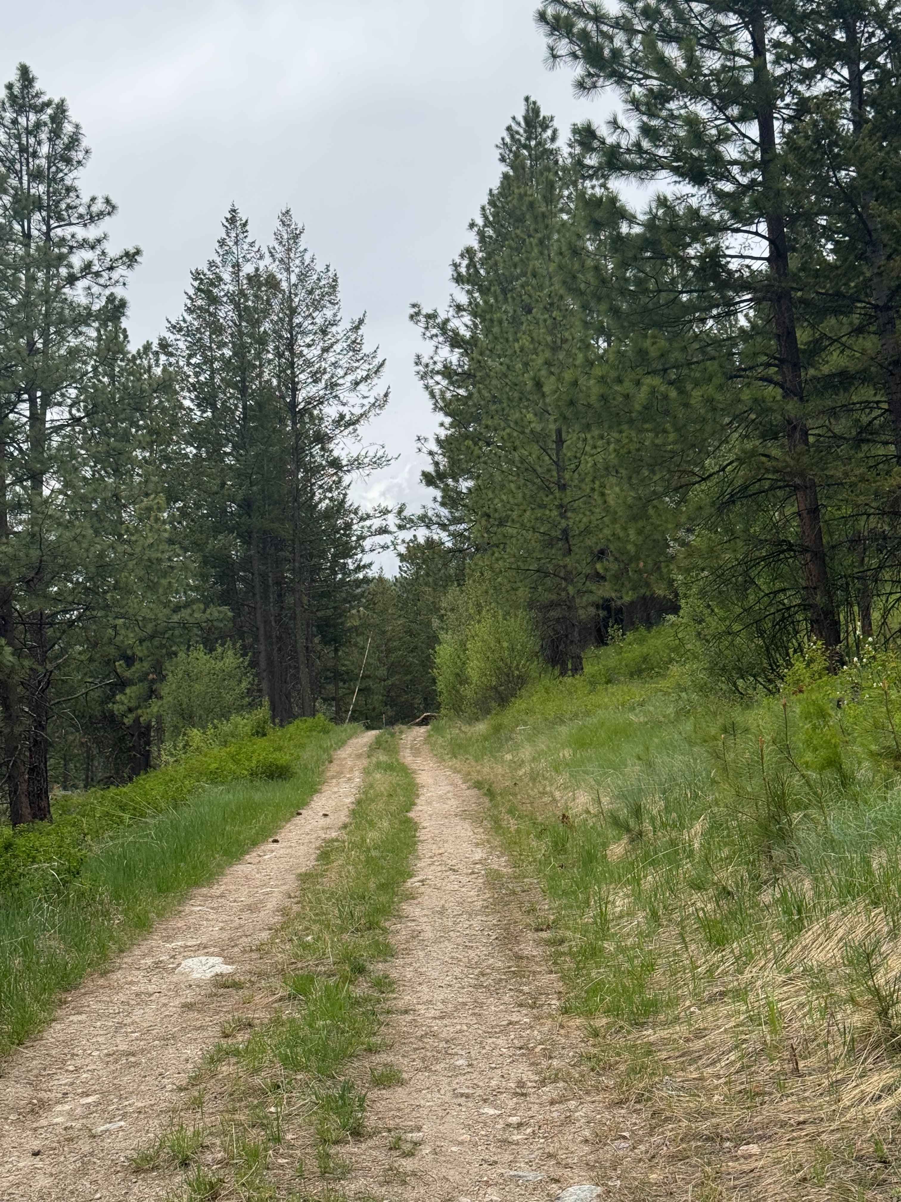 Hart Creek Ridge - FS 2000-325