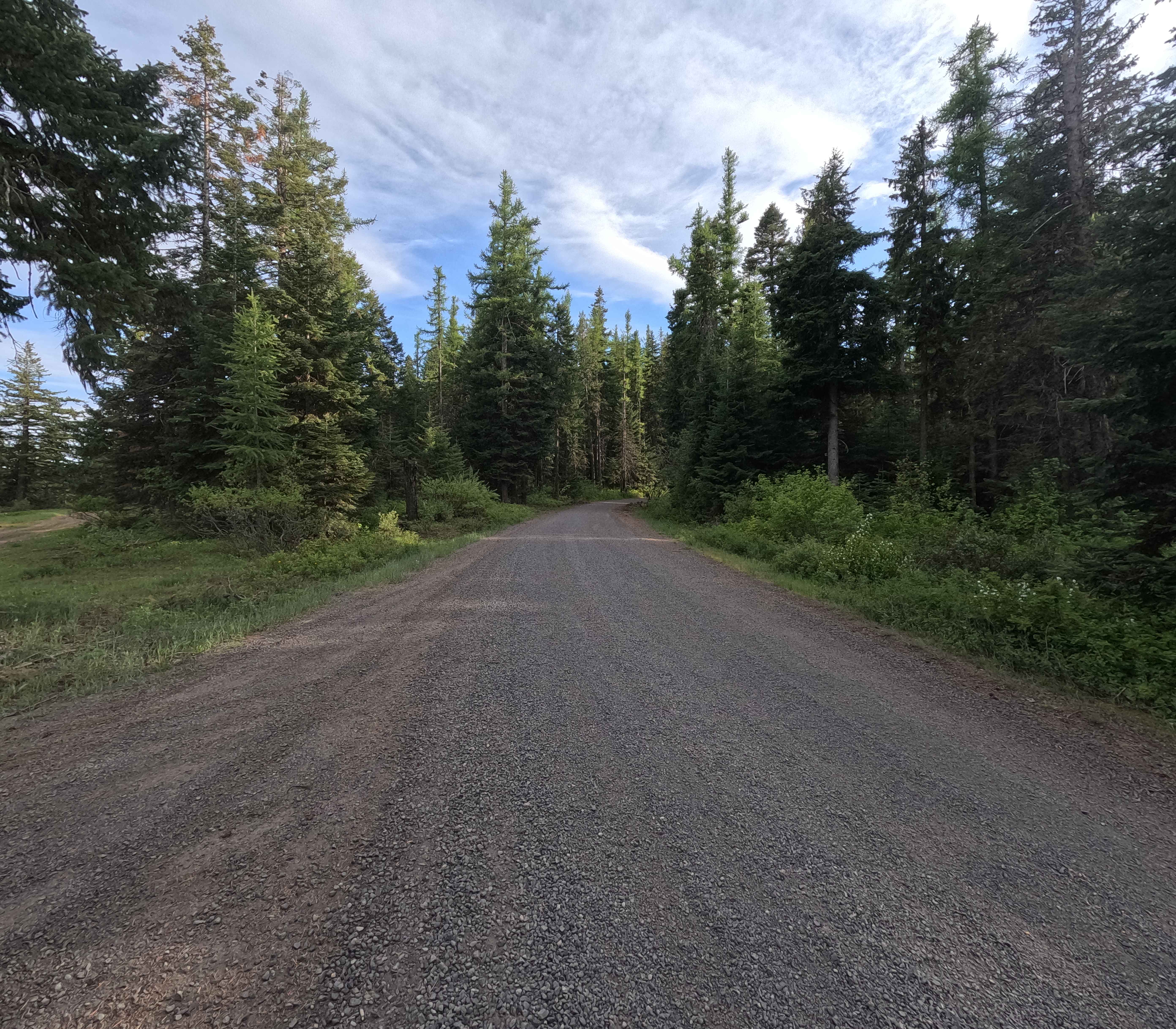 Skyline Road - FS 31
