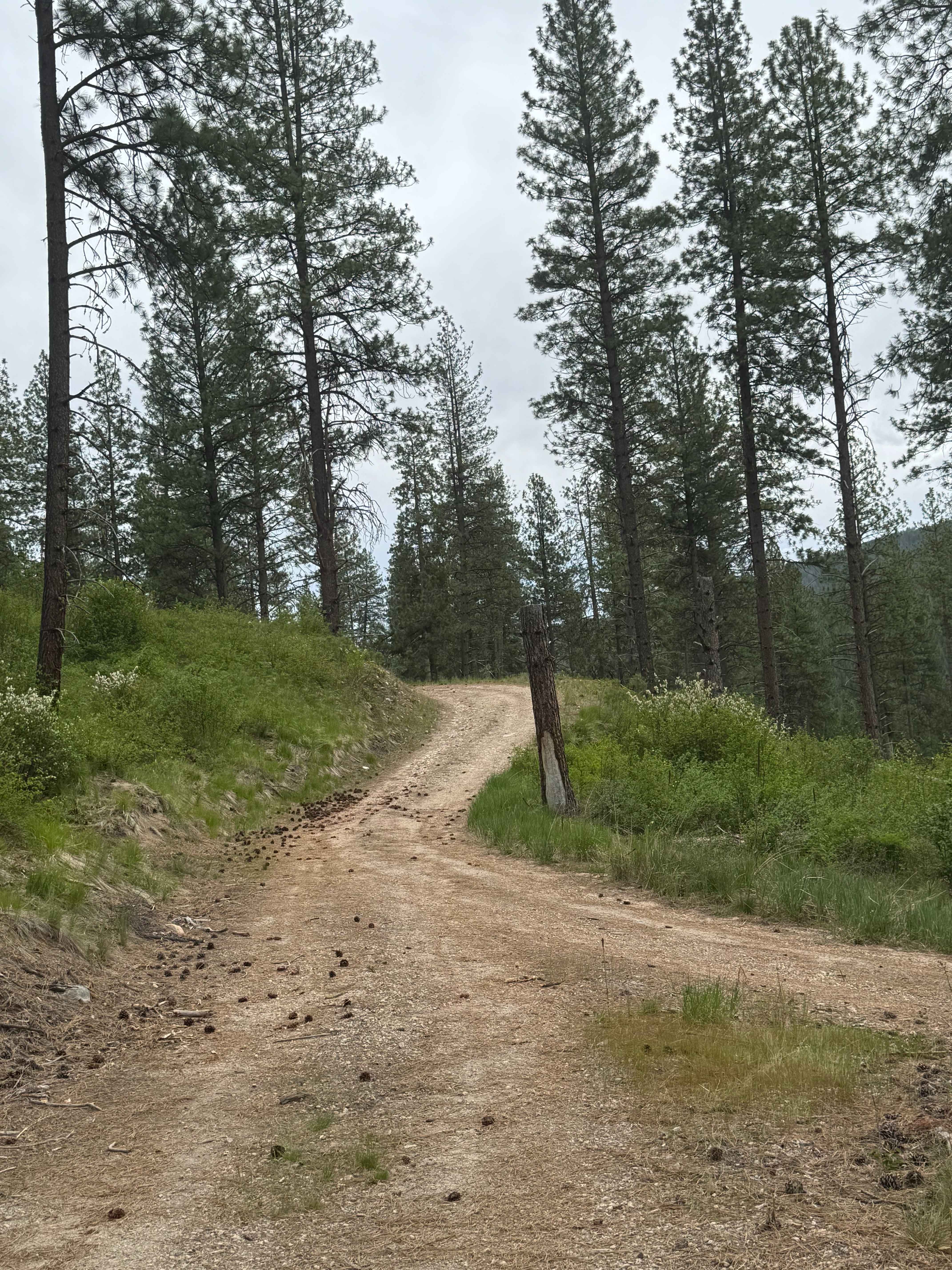 Powerline Road - FS 2000-092
