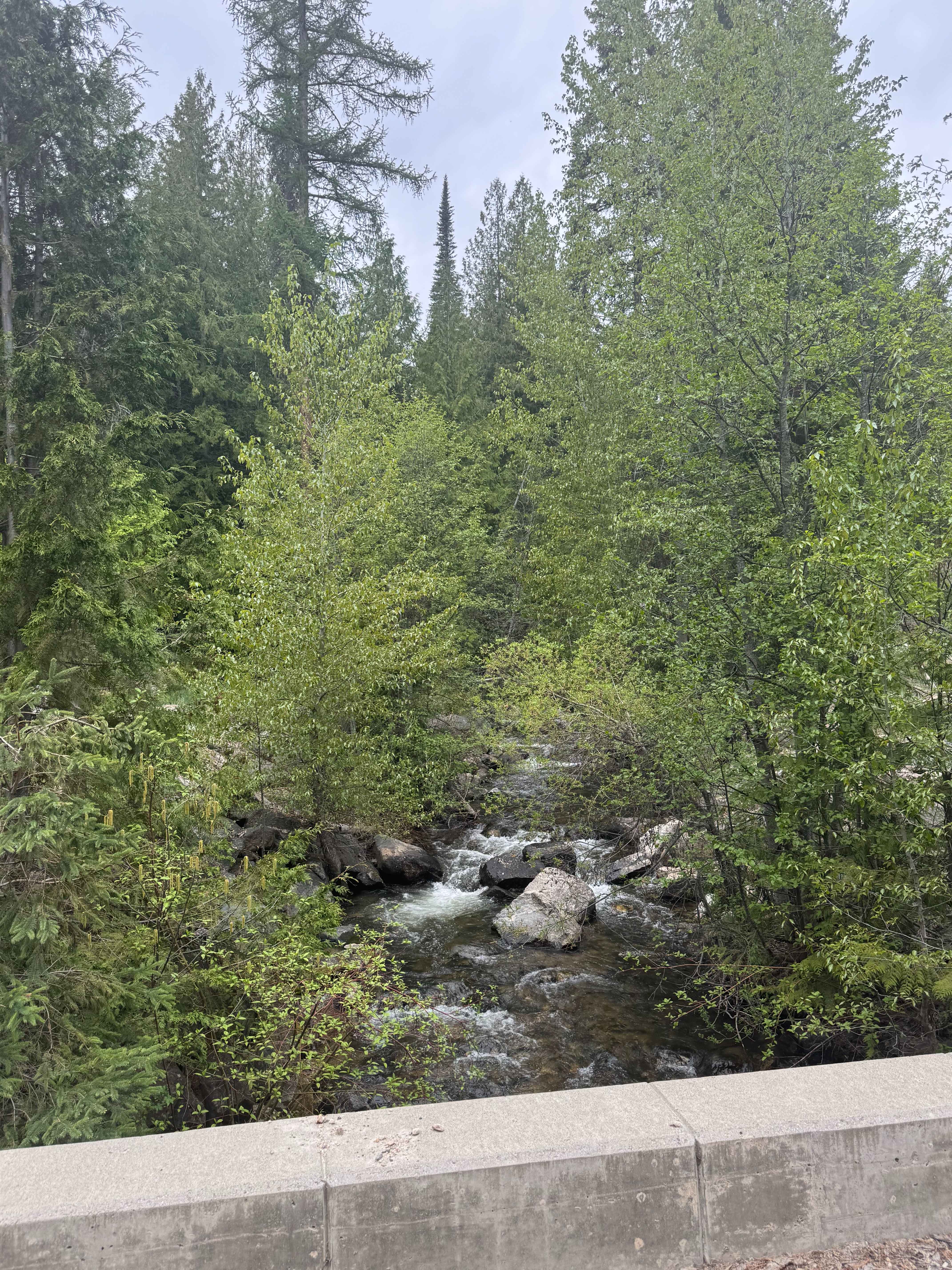 Fritz Creek - FS 2000-400
