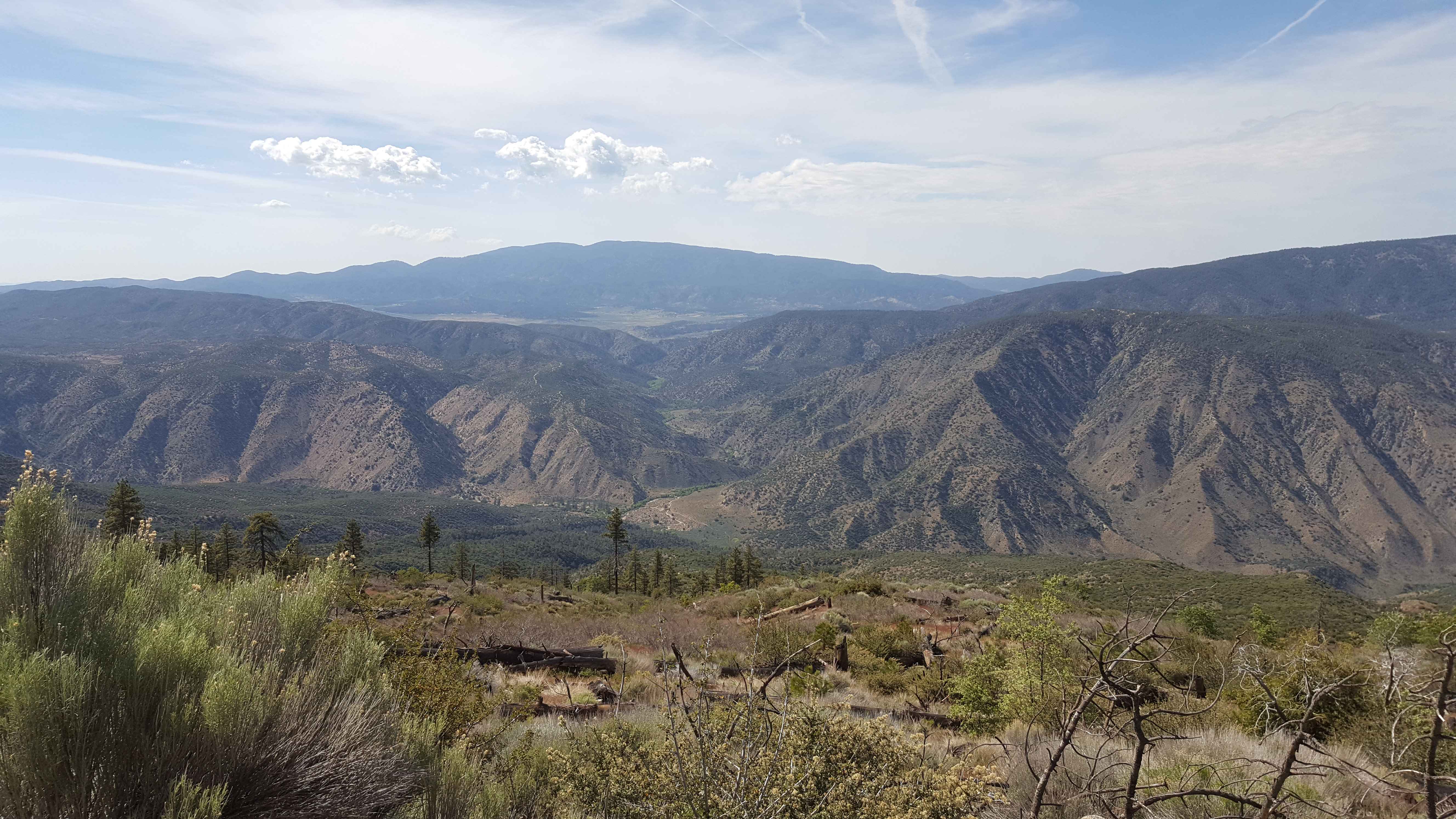 Alamo Mountain OHV - FS 8N01.3
