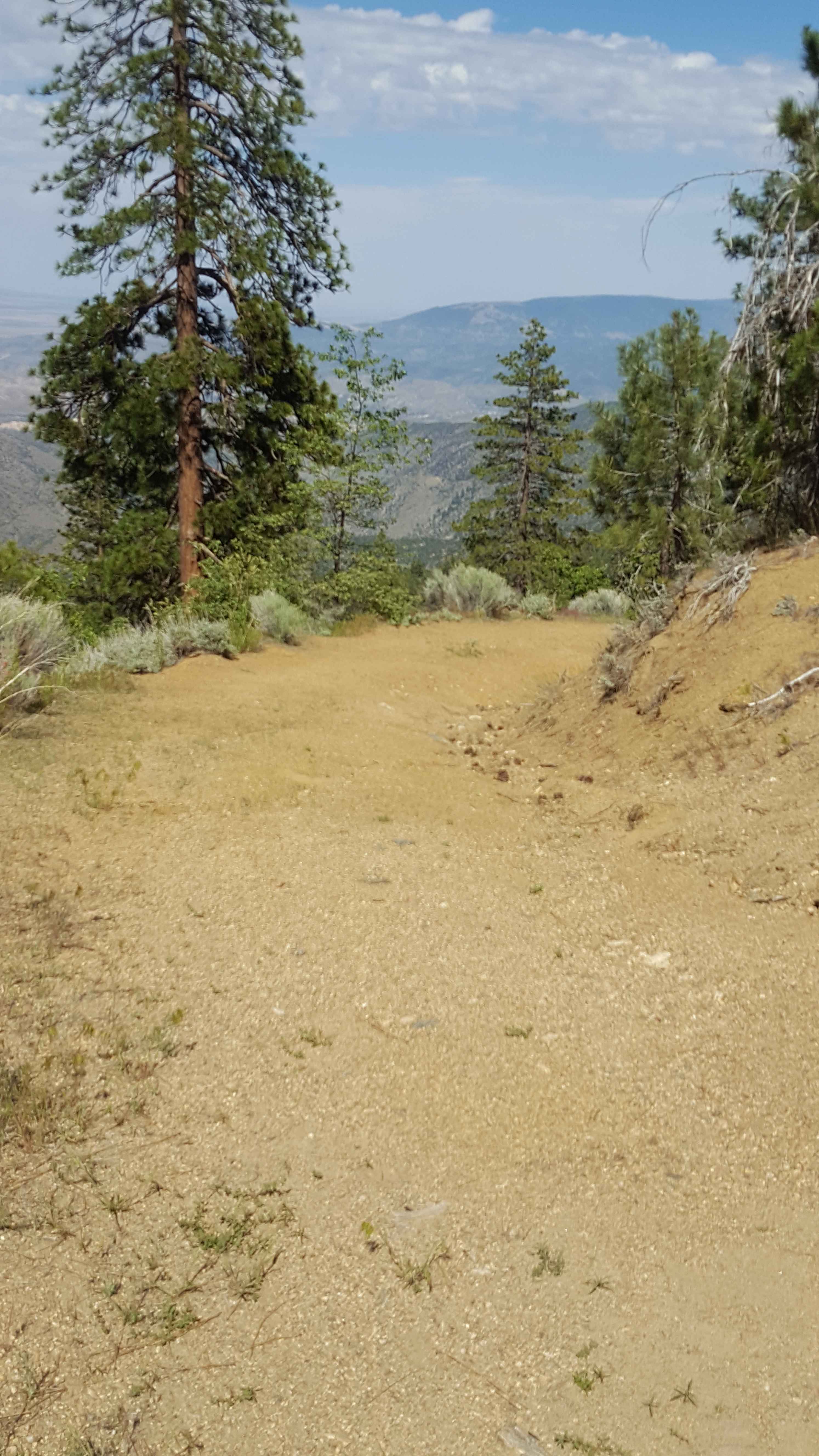 Alamo Mountain OHV - FS 8N01.3