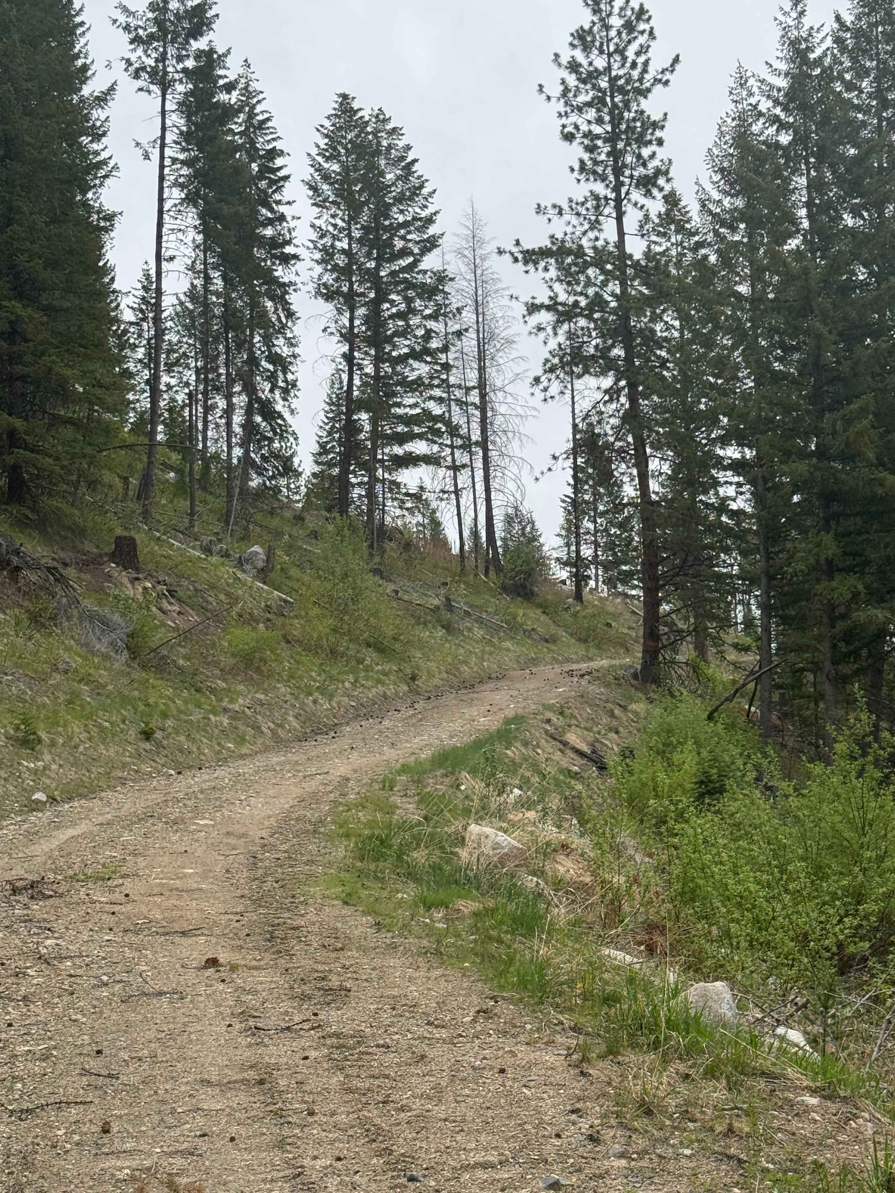 Fritz Creek Ext - FS 2000-420