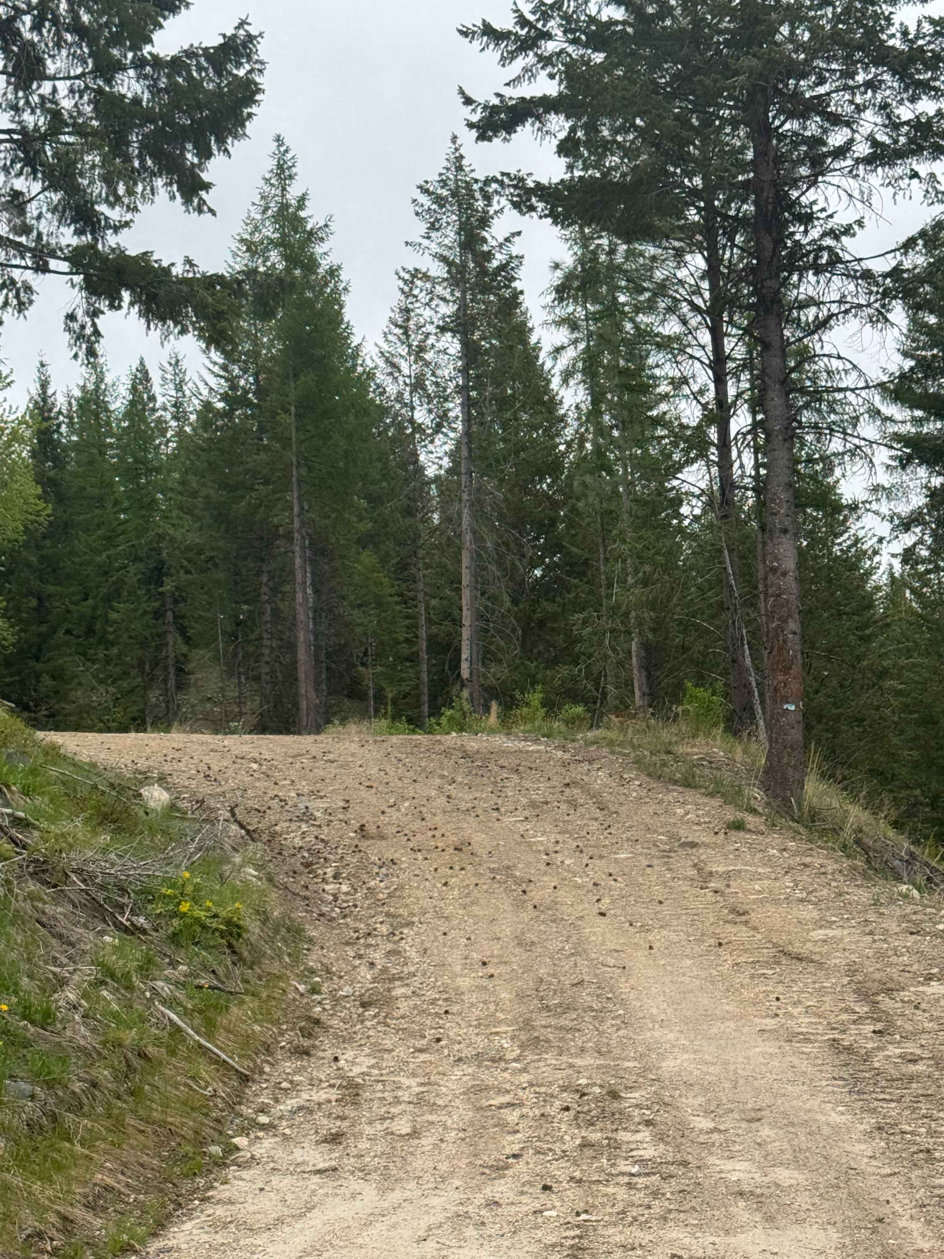 Fritz Creek Ext - FS 2000-420