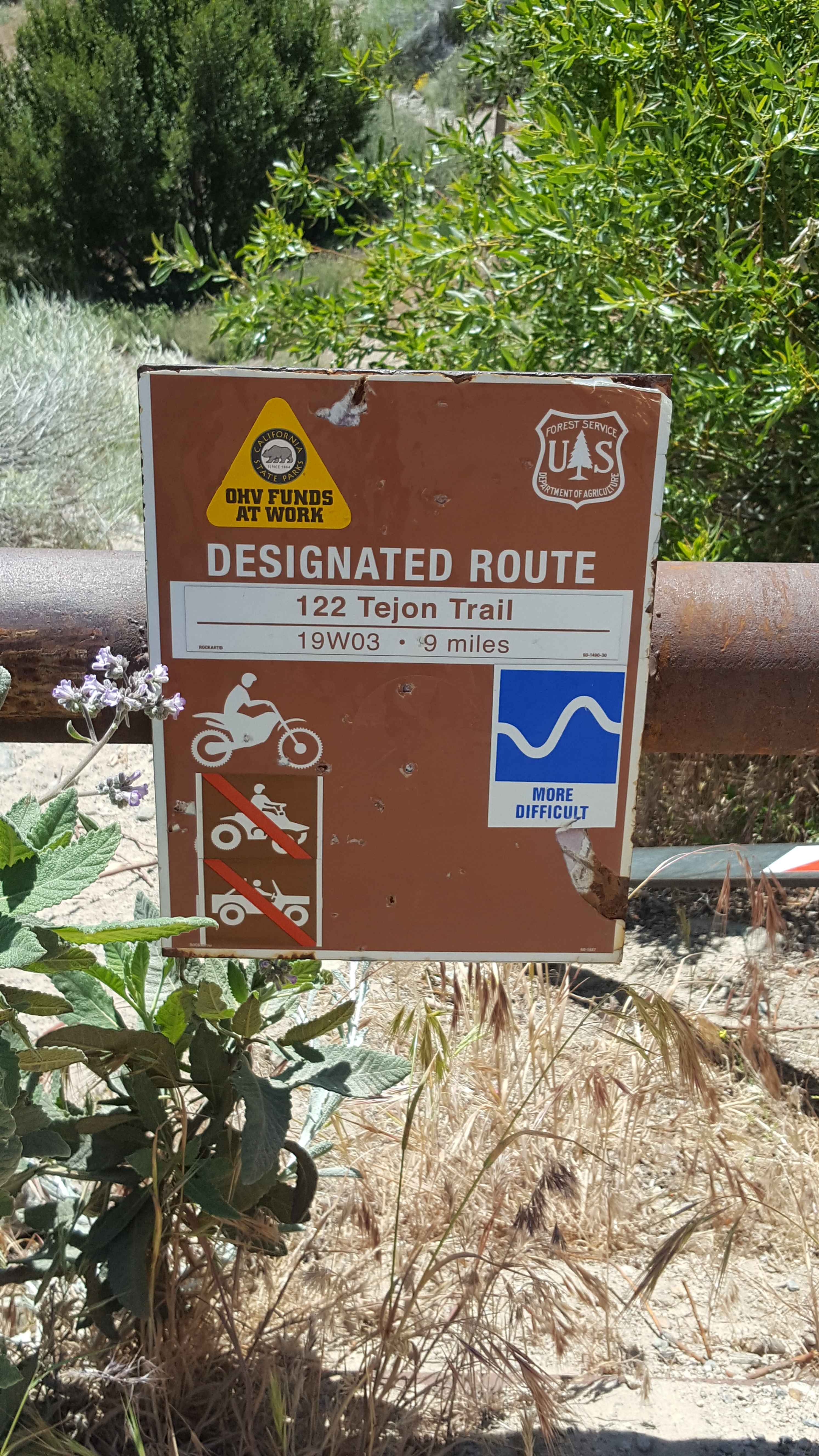 Tejon Trail - 19W03