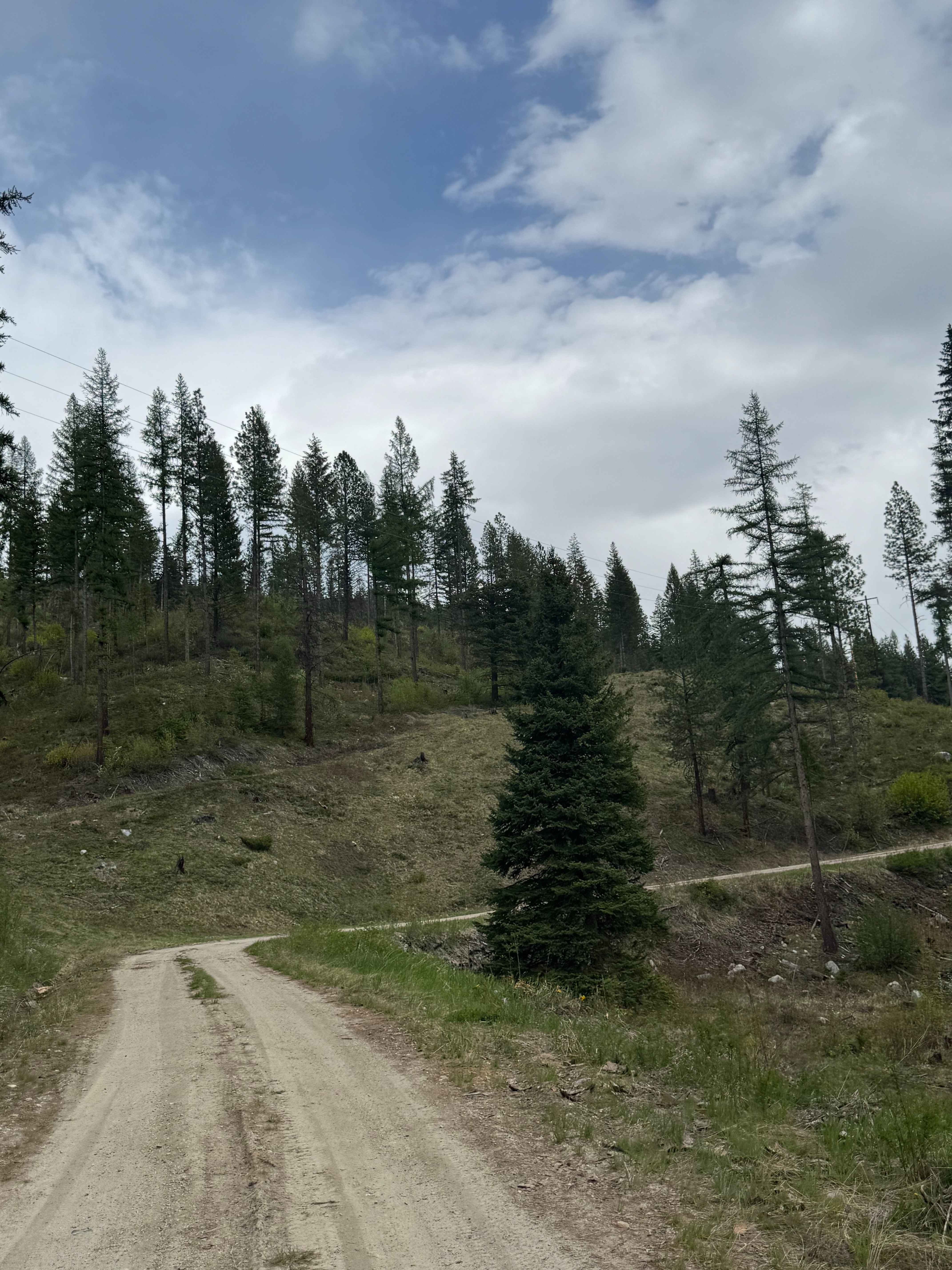 Graves Mountain Road