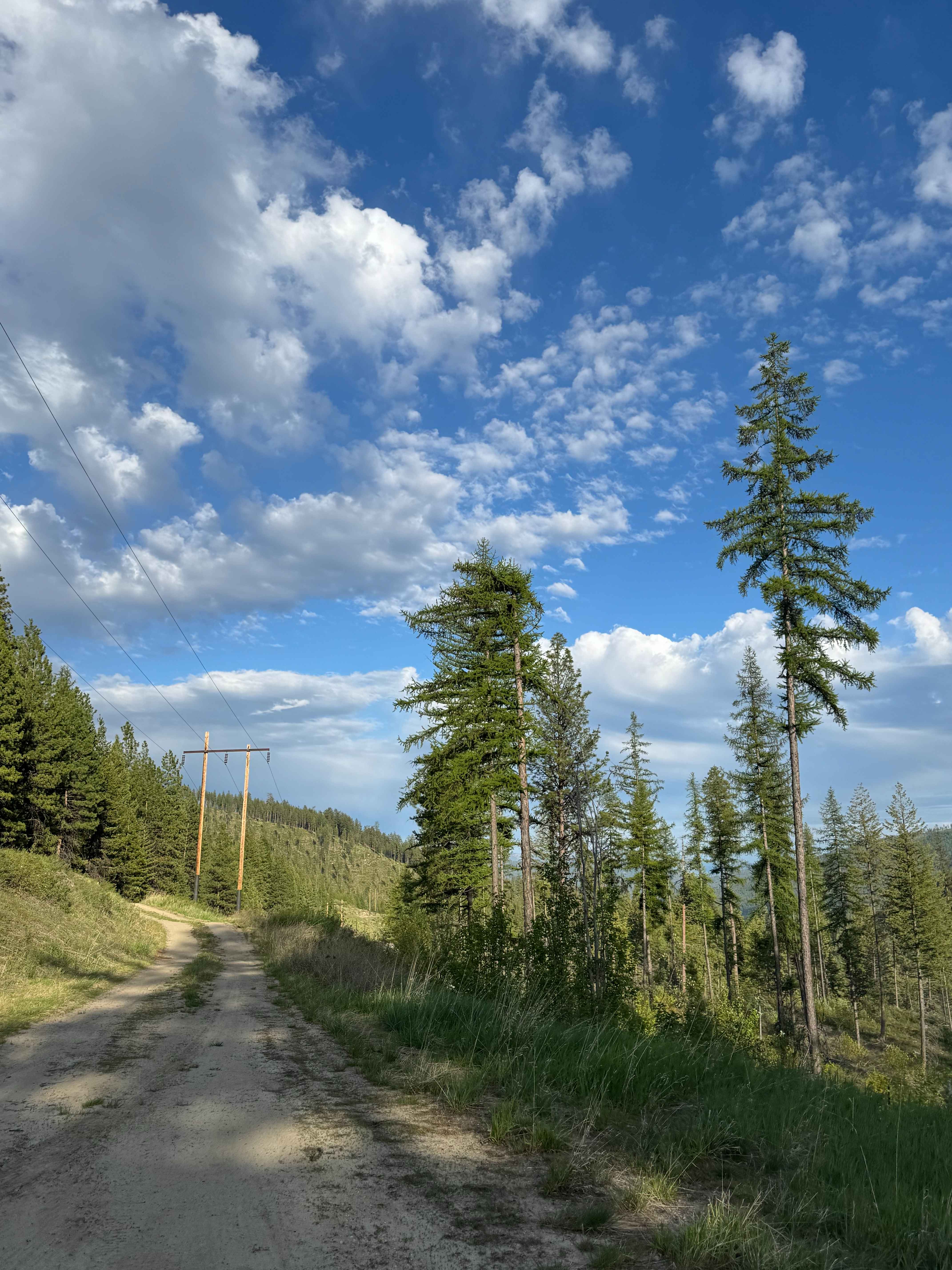 Old Sherman Highway