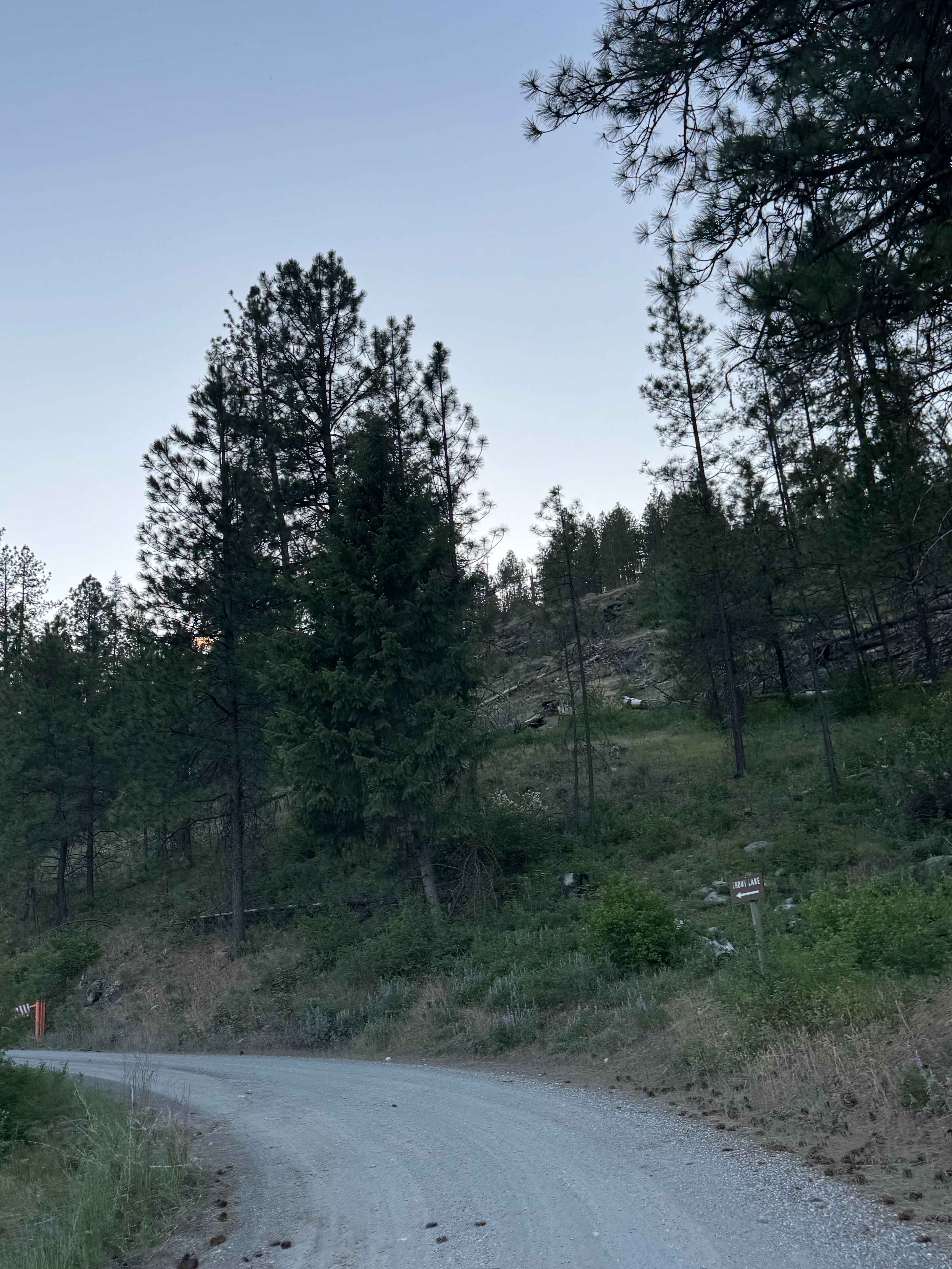 Trout Lake Road