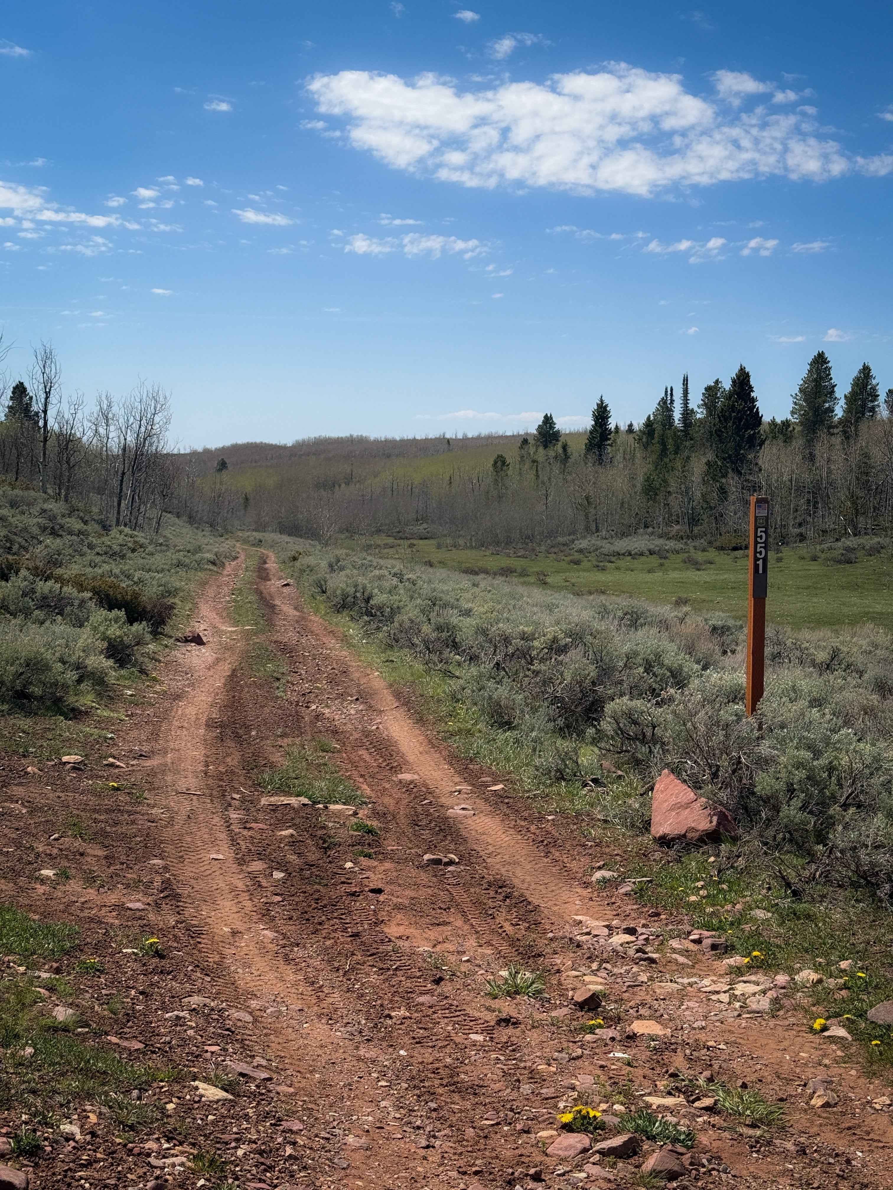 Kabell Hollow #551
