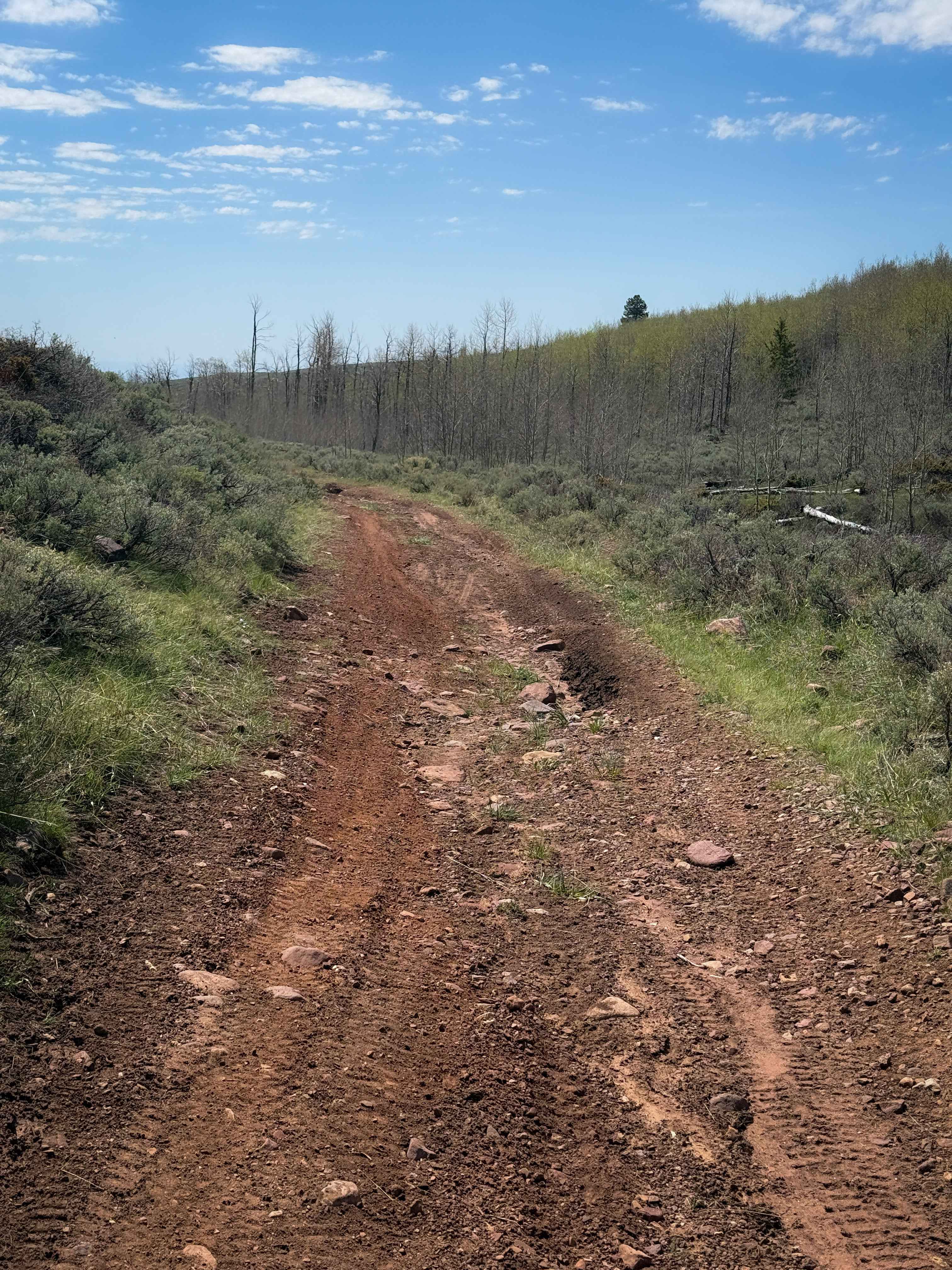 Kabell Hollow #551