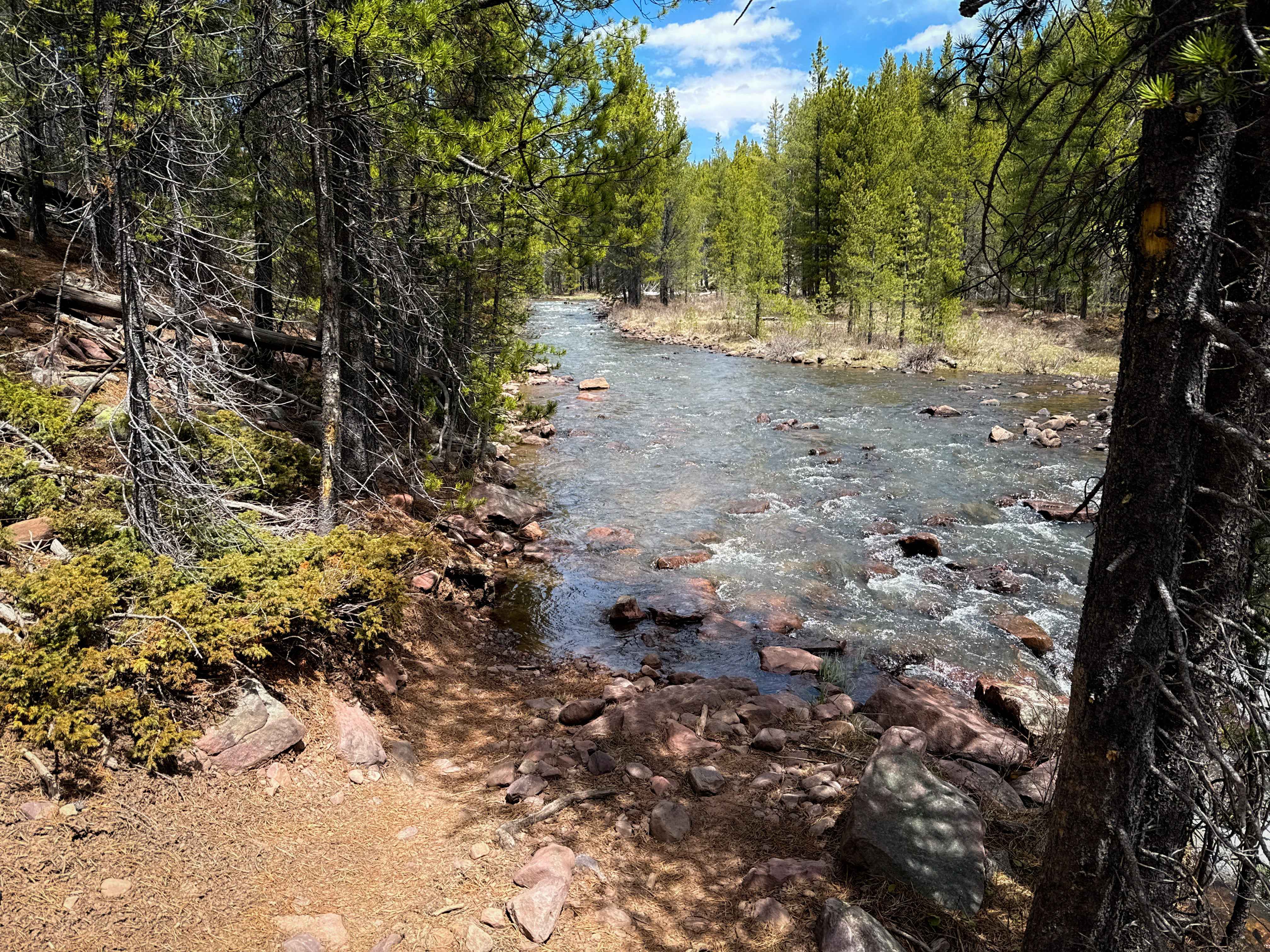 North Fork Ashley #110