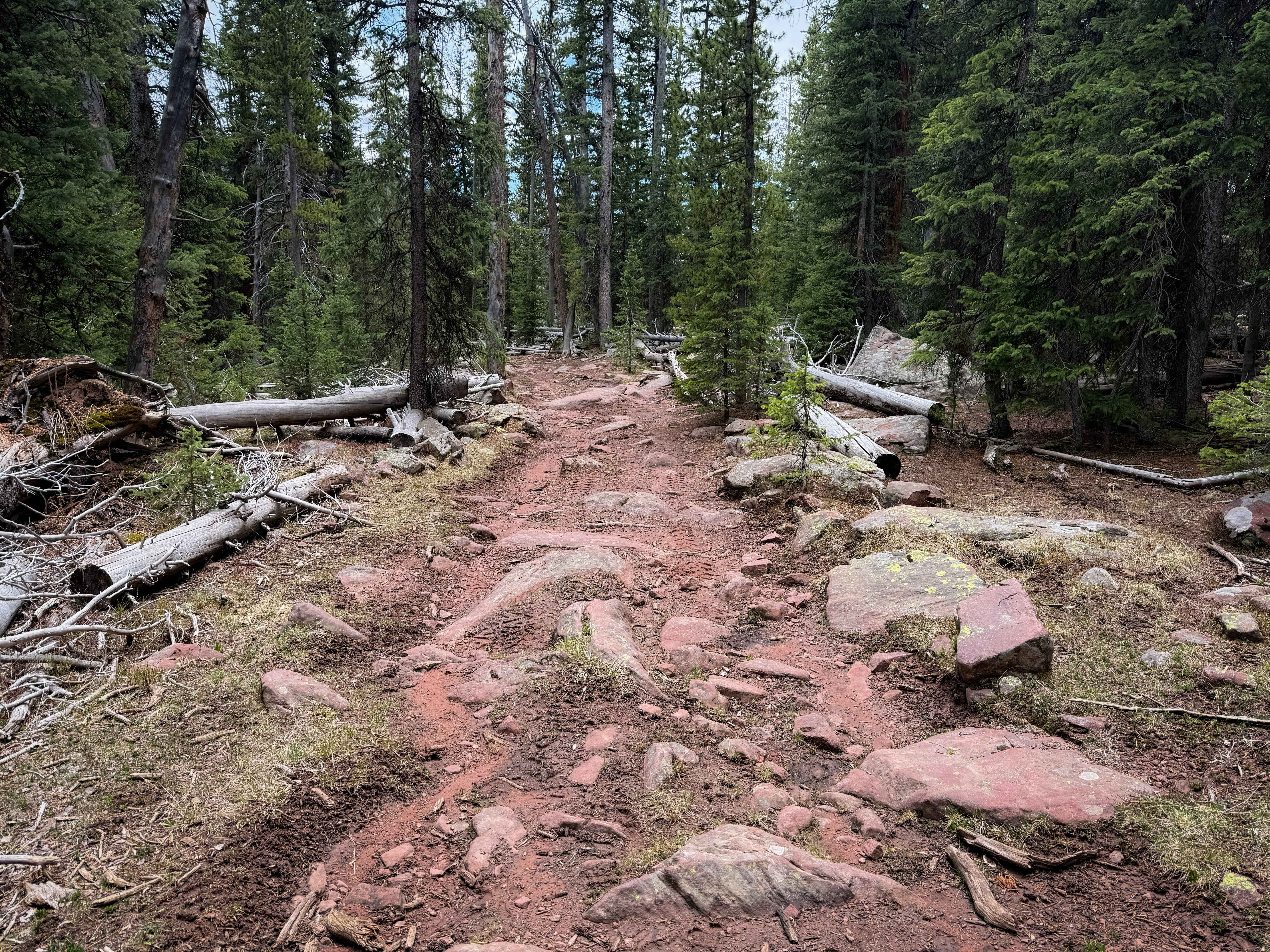 Anderson Creek #71