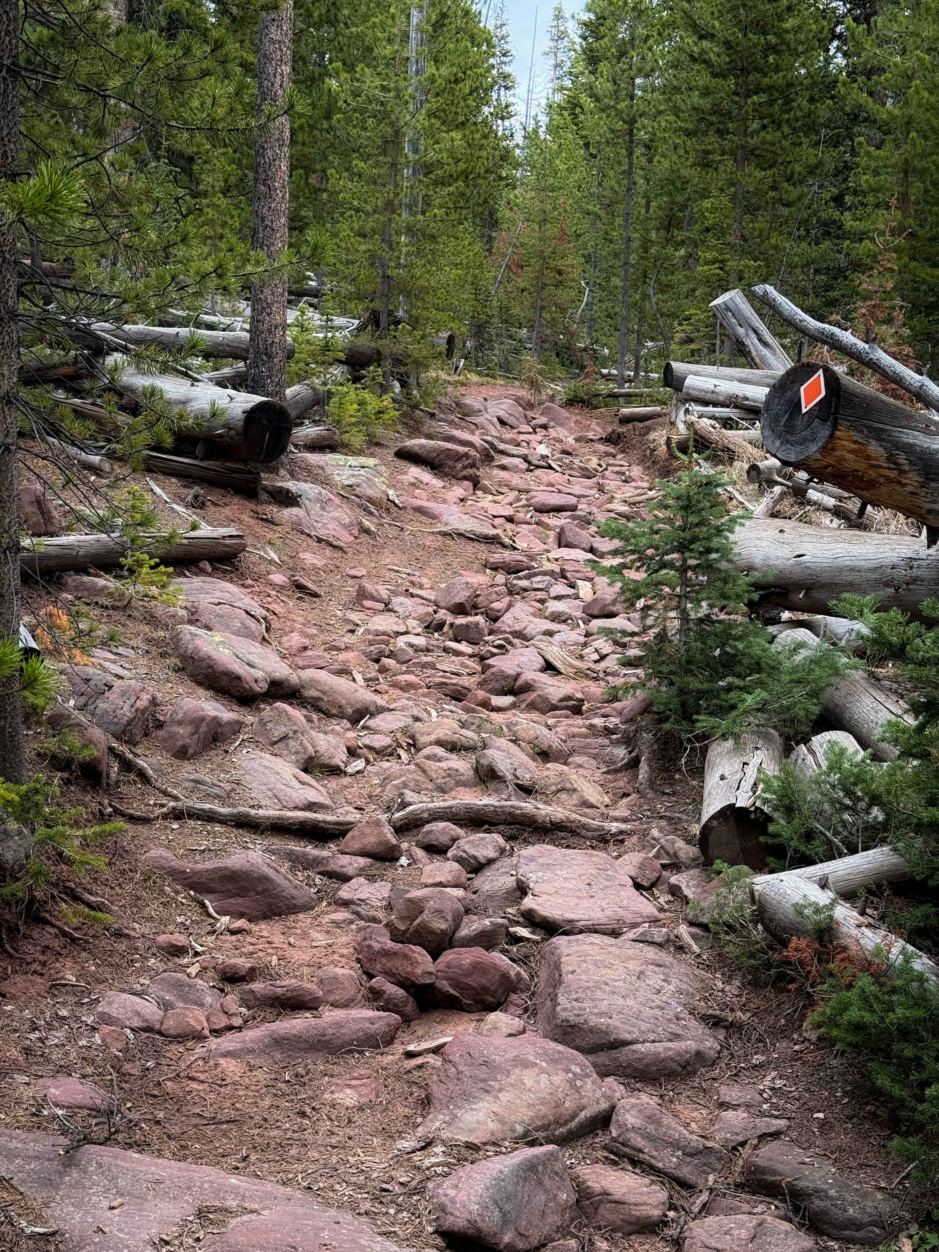 Uinta Highline #025