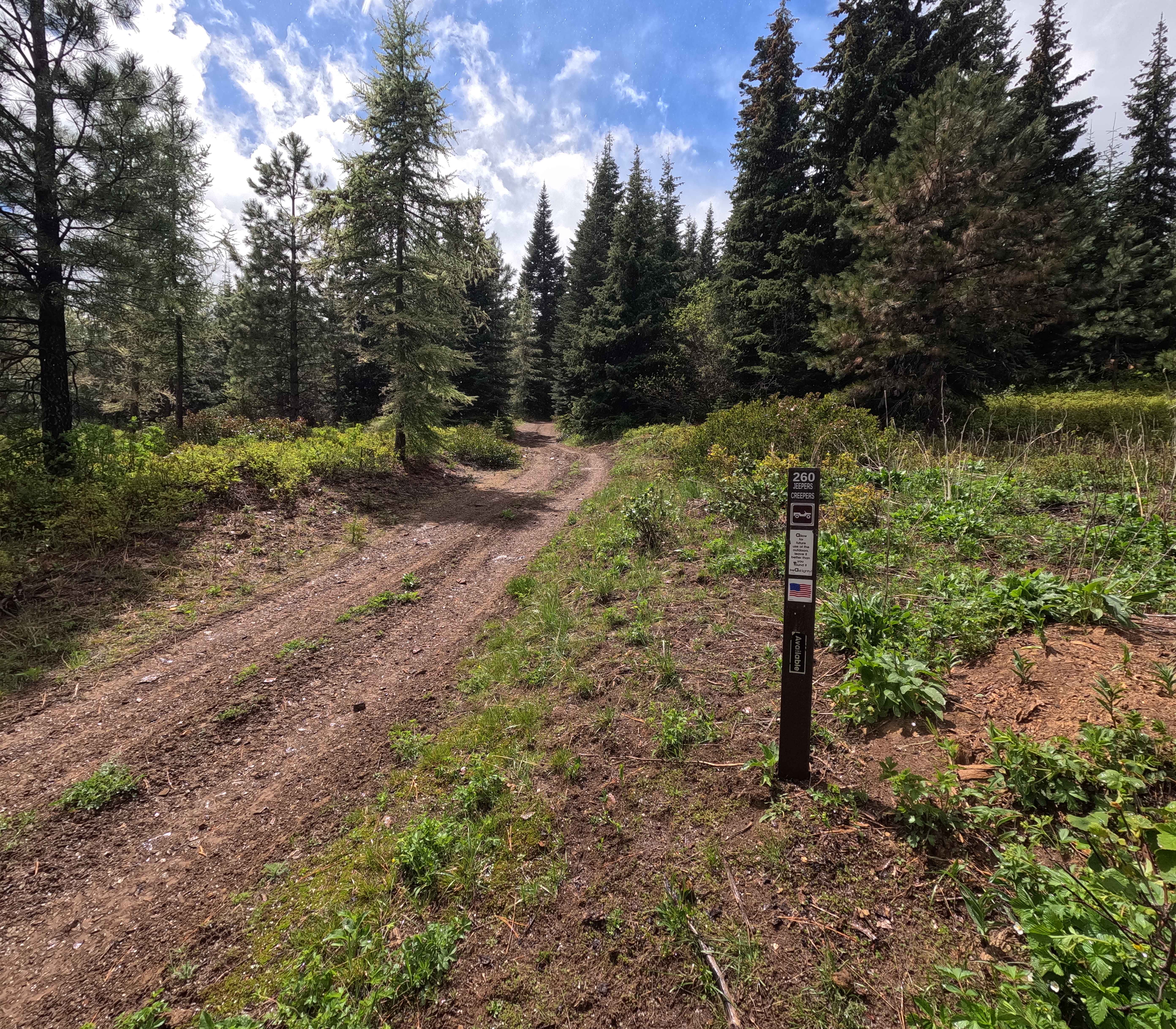 Jeepers Creepers - Trail 260