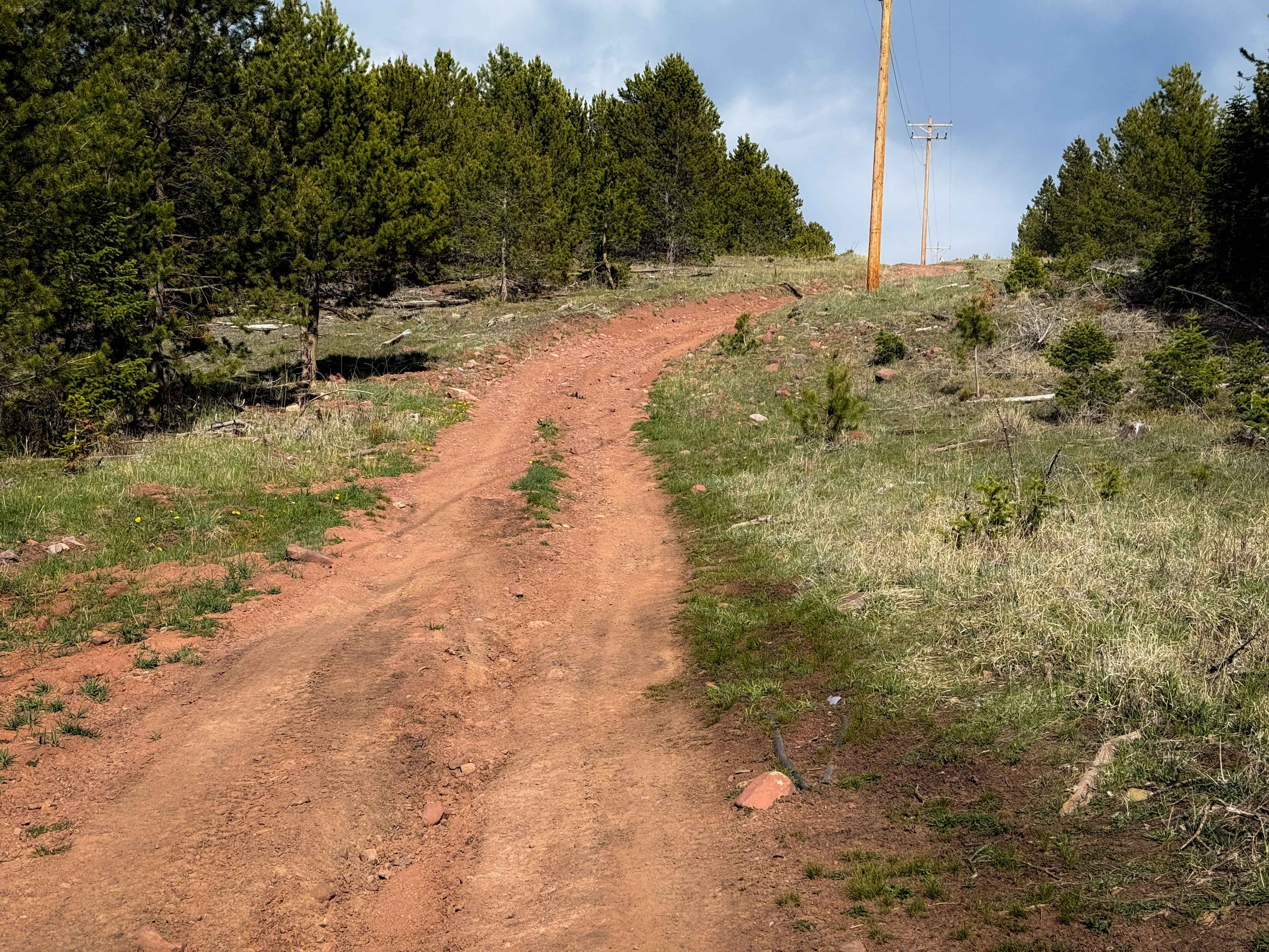 Grizzly Ridge North Spur #15