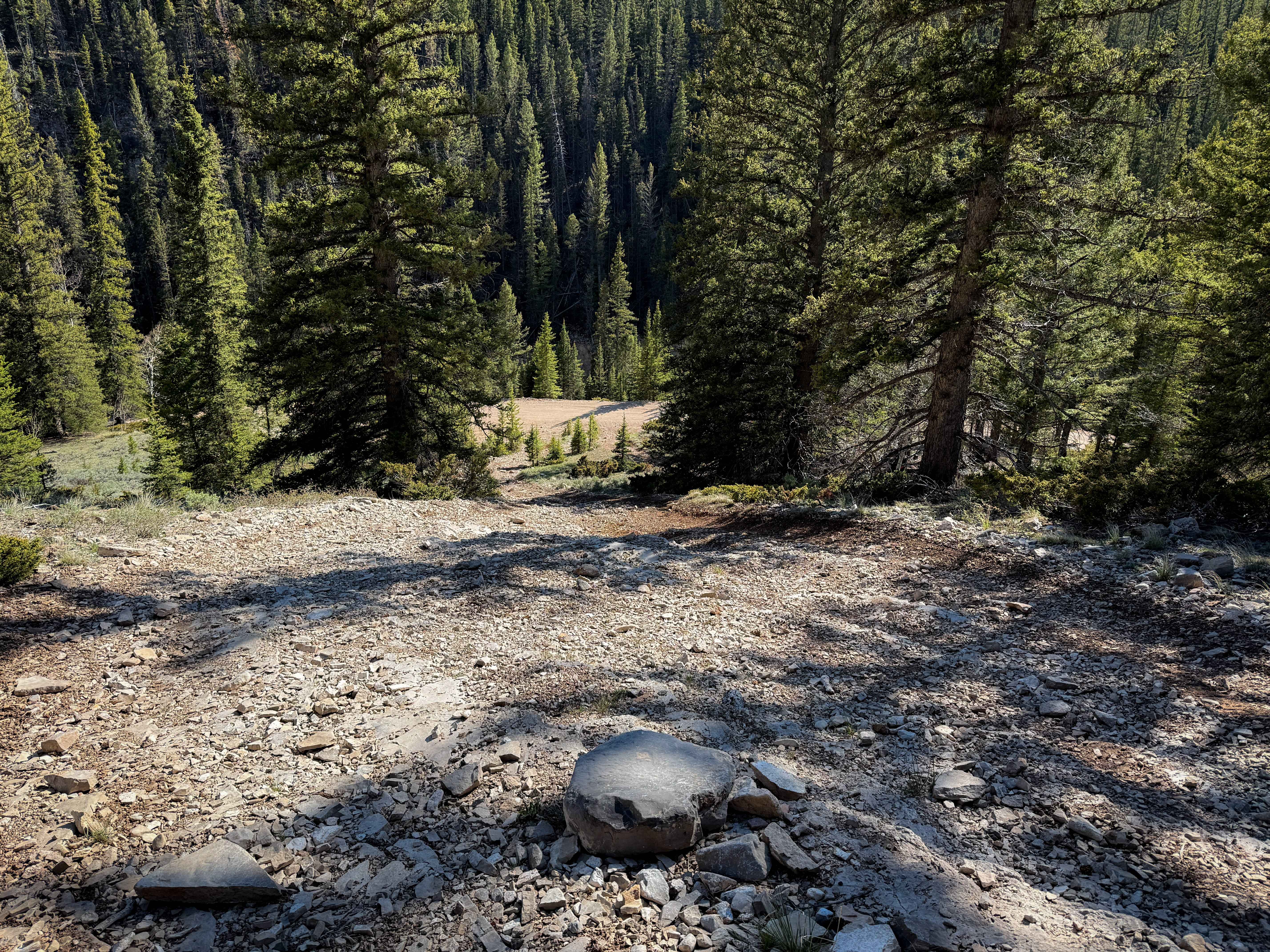 Little Brush Creek #153