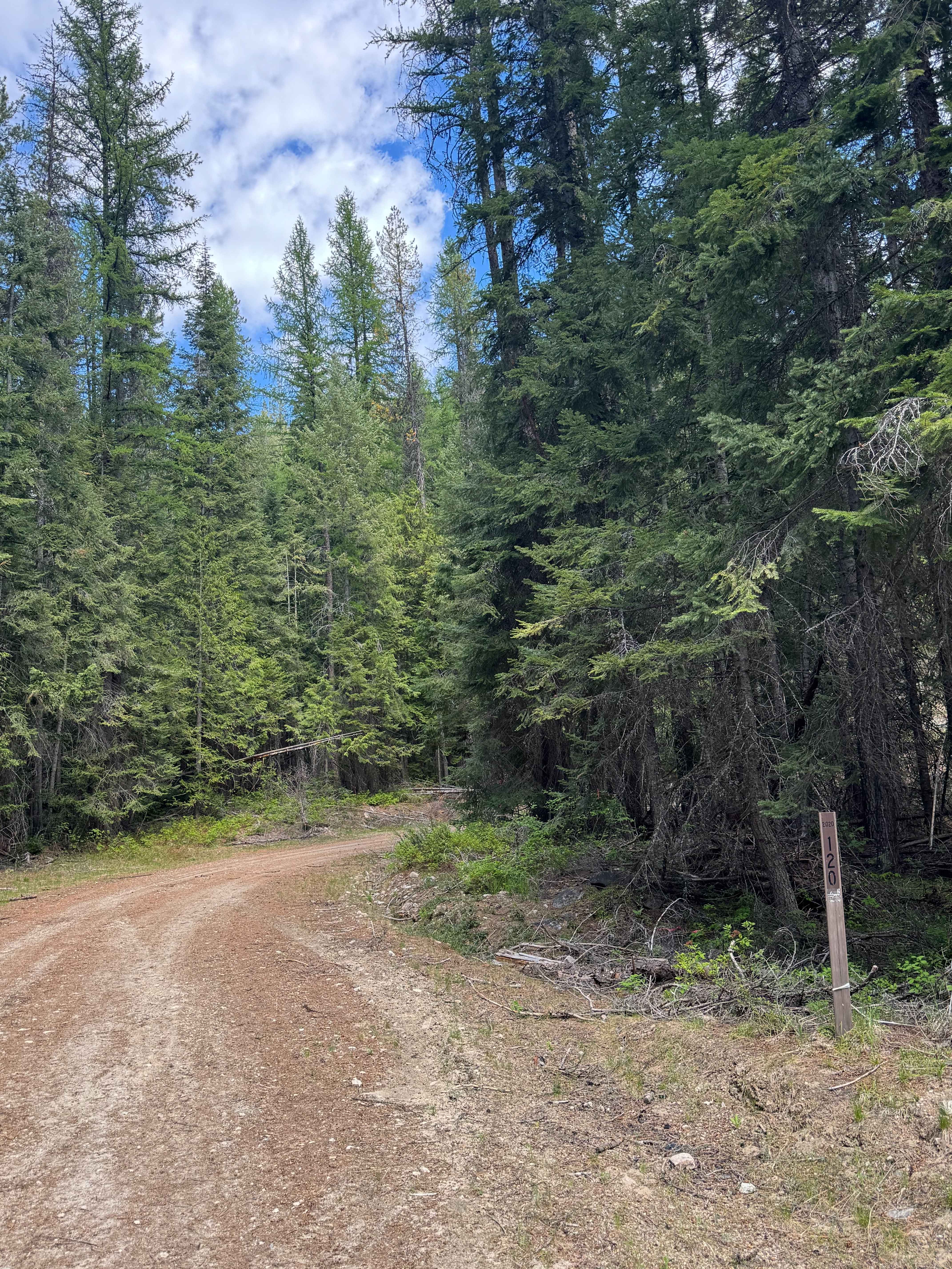 Bridge Creek - FS 2020-120