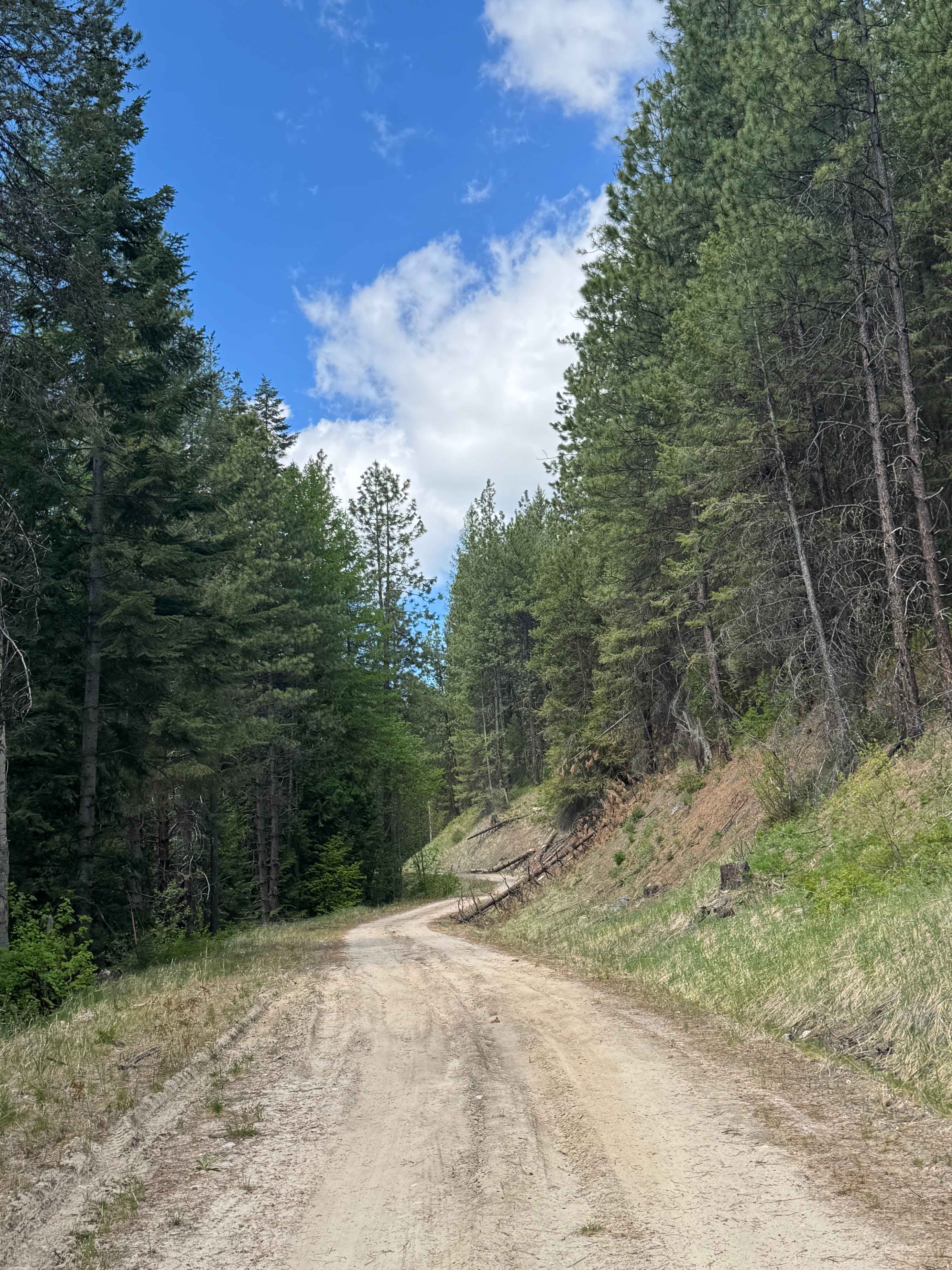 Bridge Creek - FS 2020-120