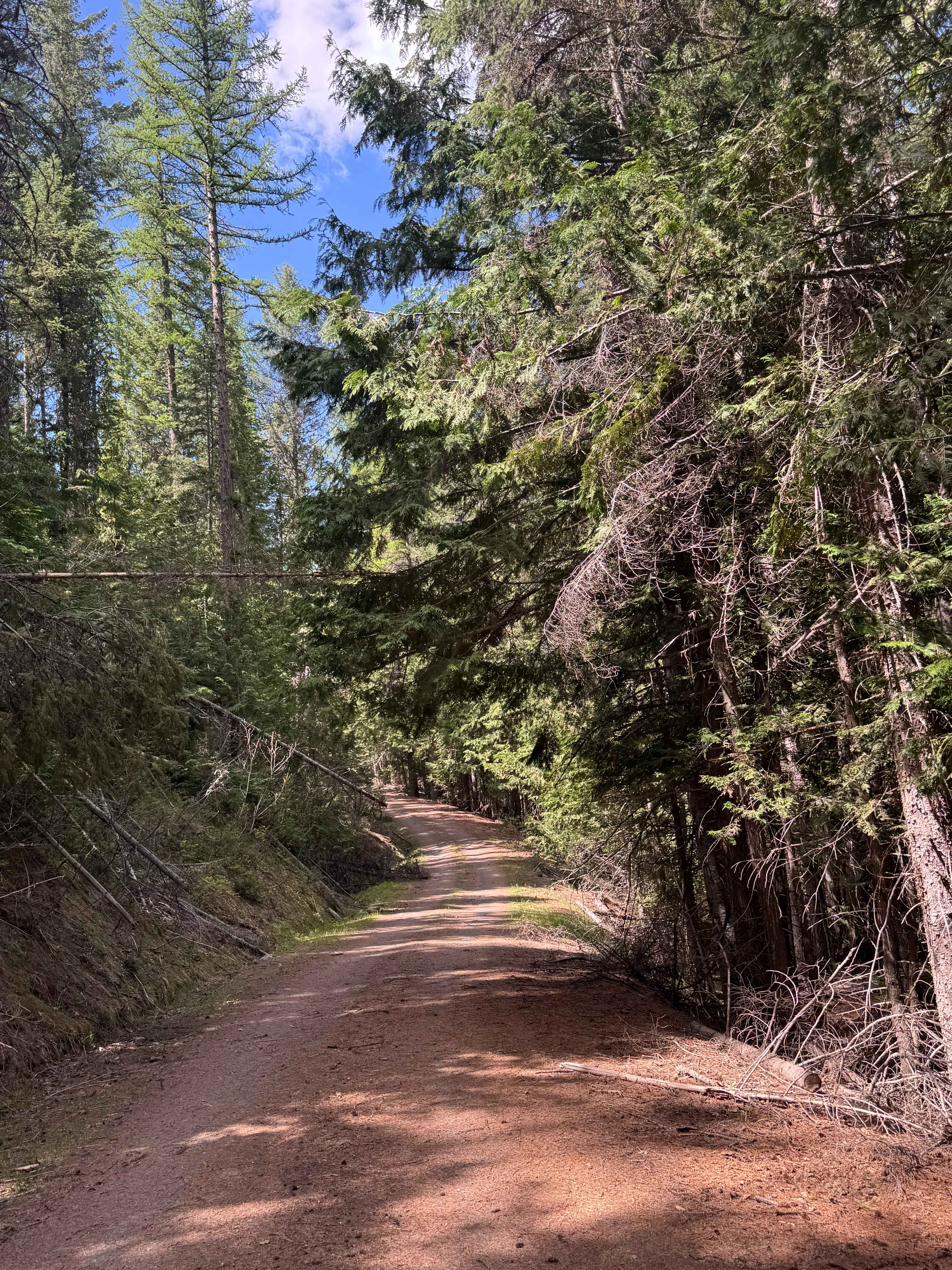 Barnaby Buttes  Trail