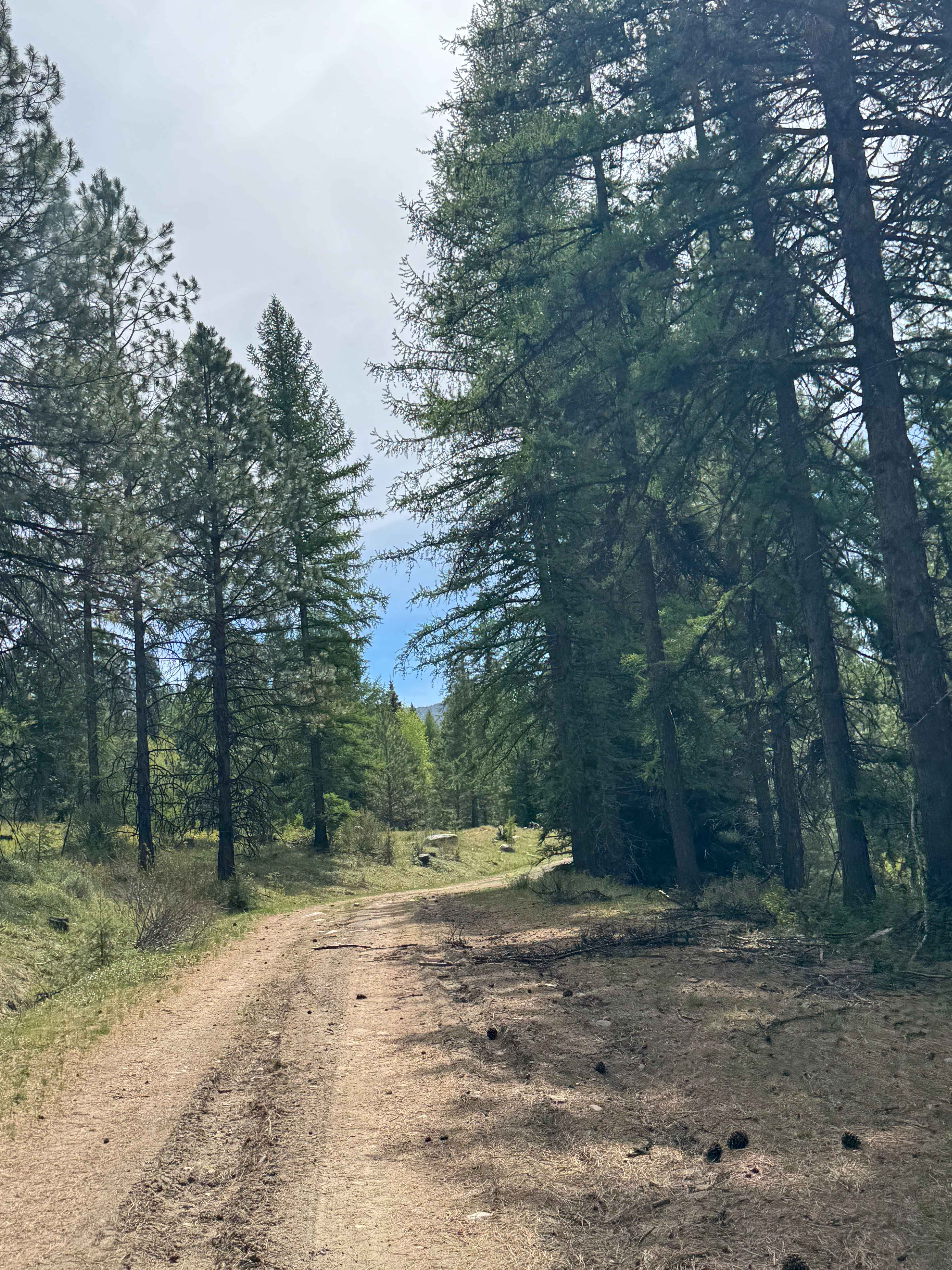 Shovel Creek - FS 2040-050