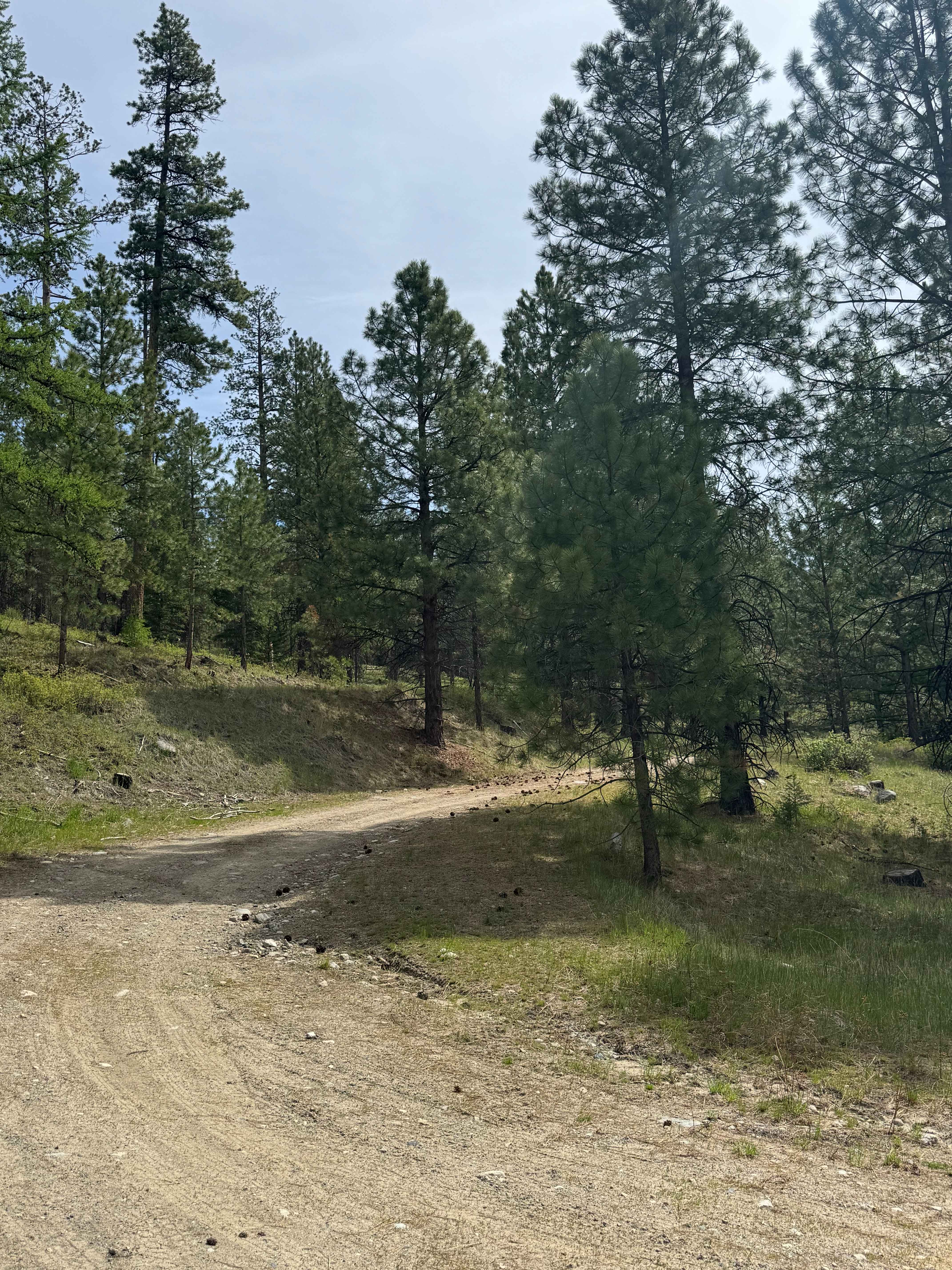 Shovel Creek - FS 2040-050