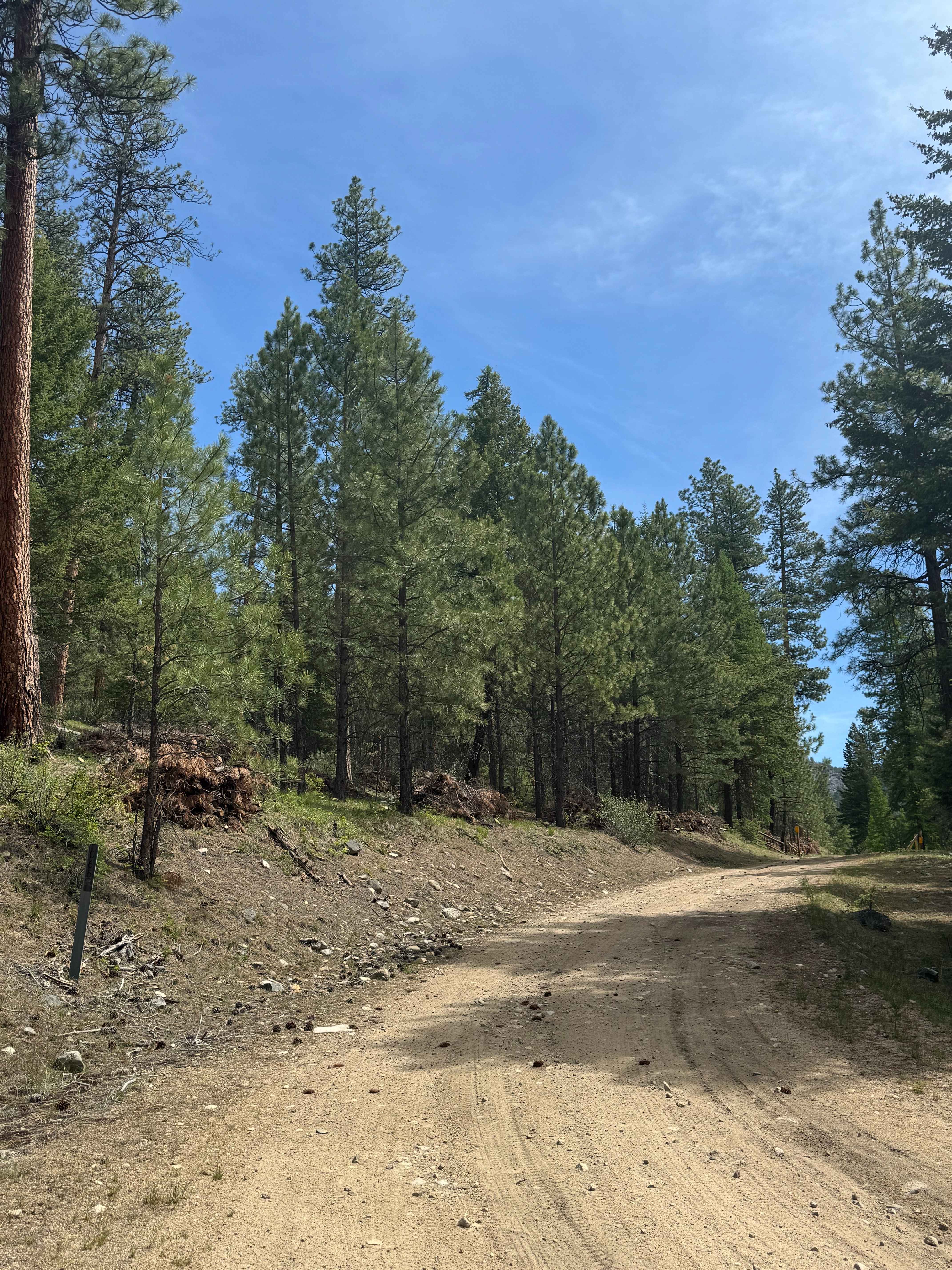 Sherman Creek Trailhead Road