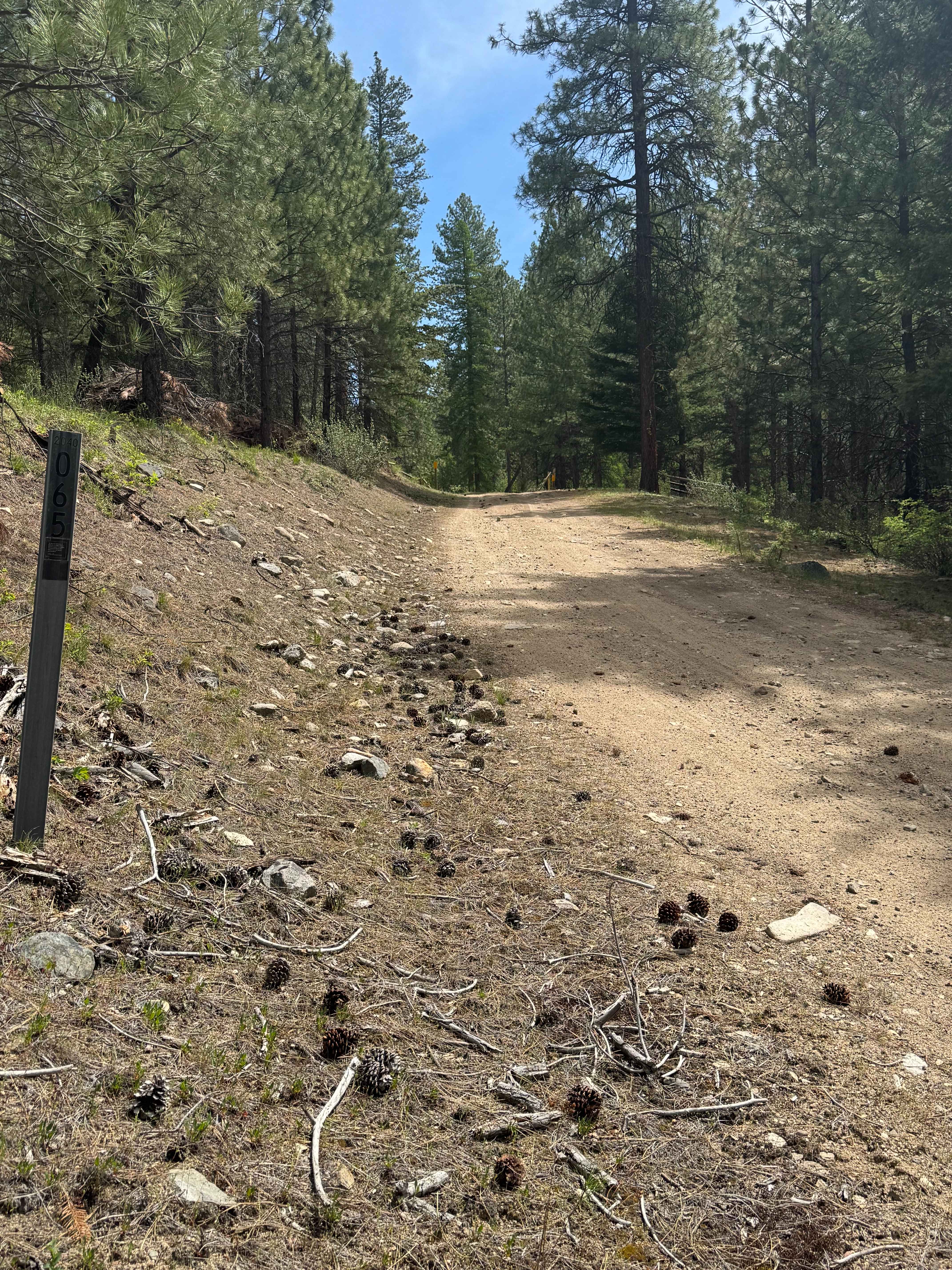Sherman Creek Trailhead Road