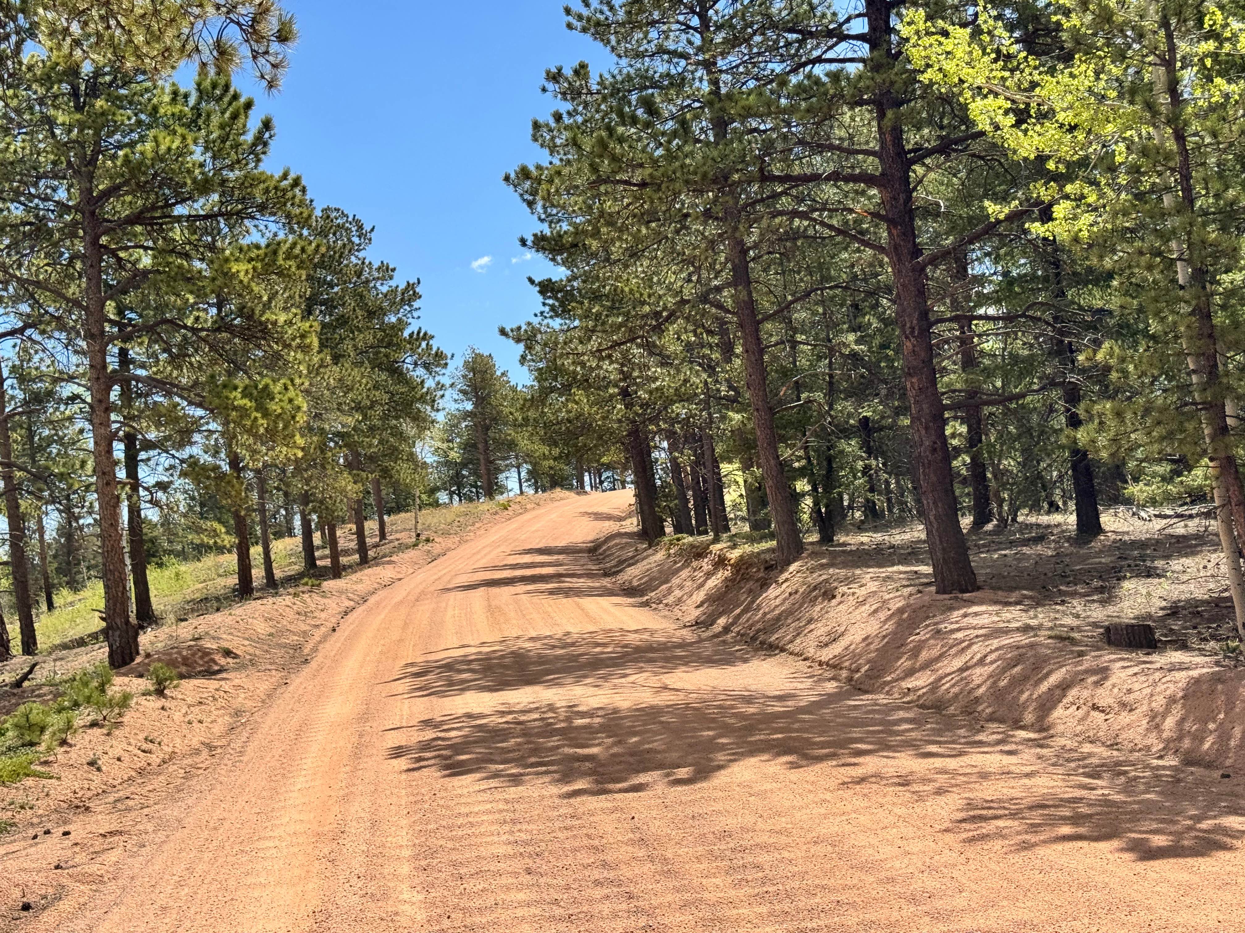 Farrish Memorial Rd 312