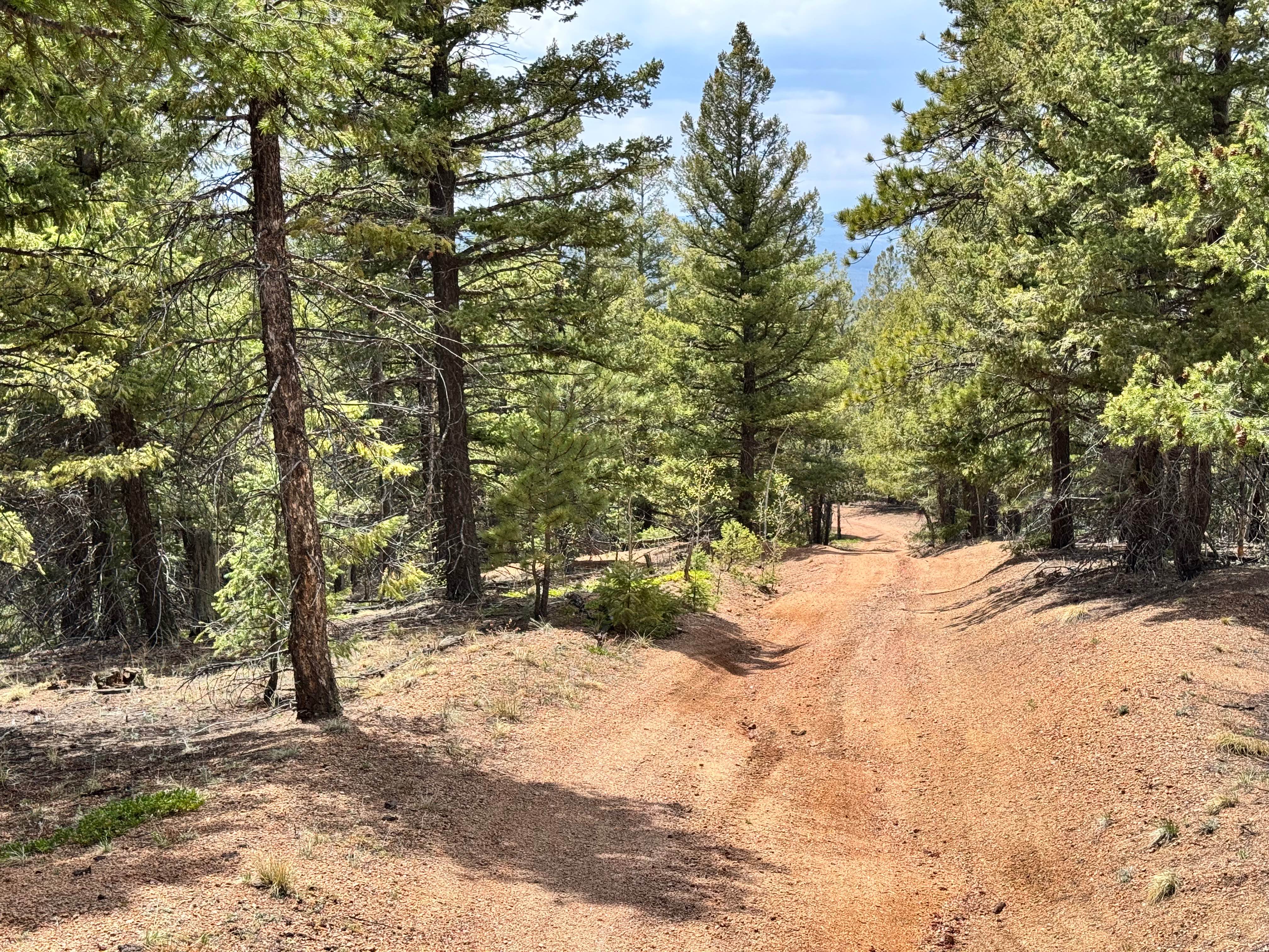 Upper Johnson Gulch Rd (FS300)