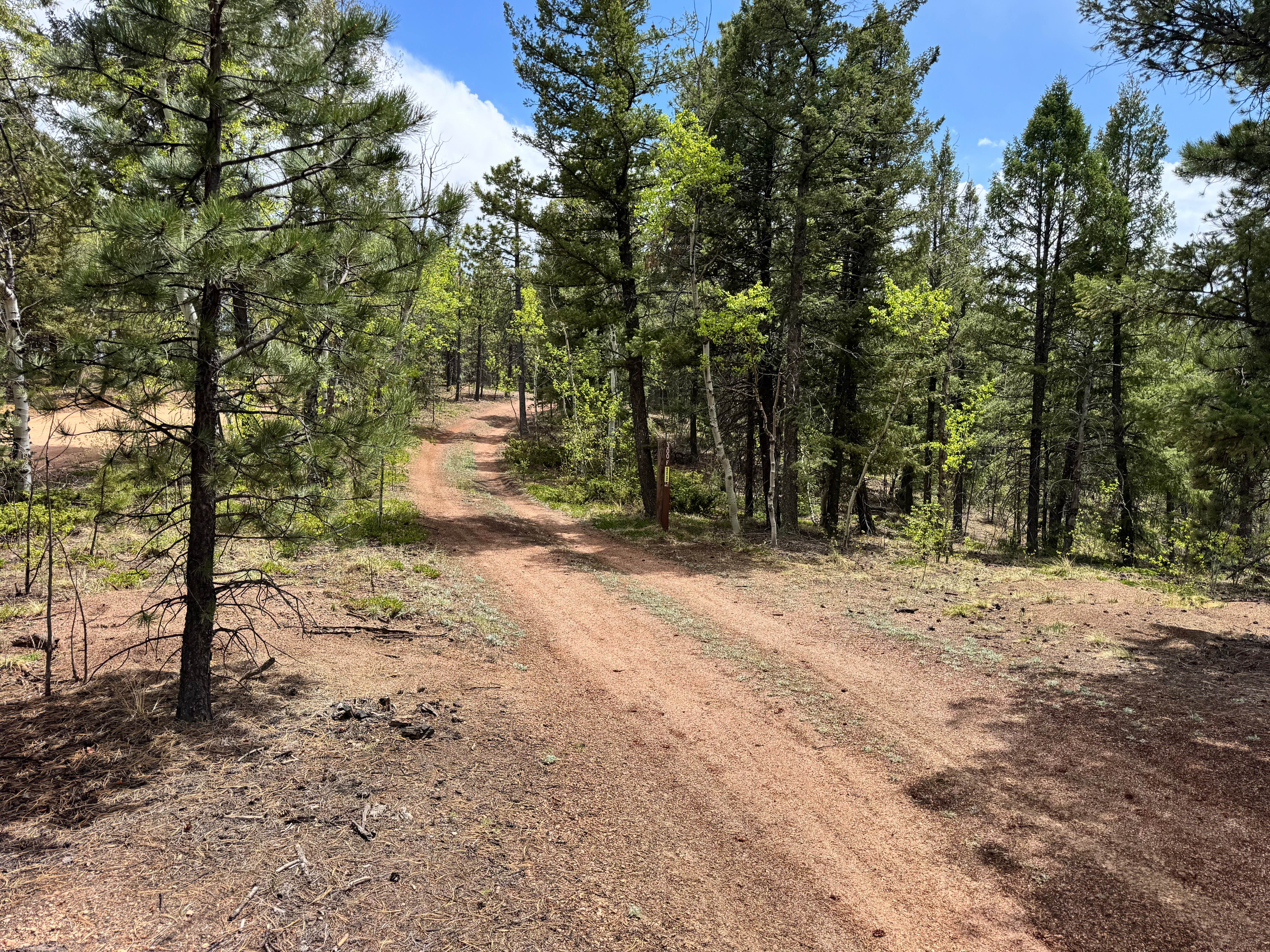 Upper Johnson Gulch Rd (FS300)