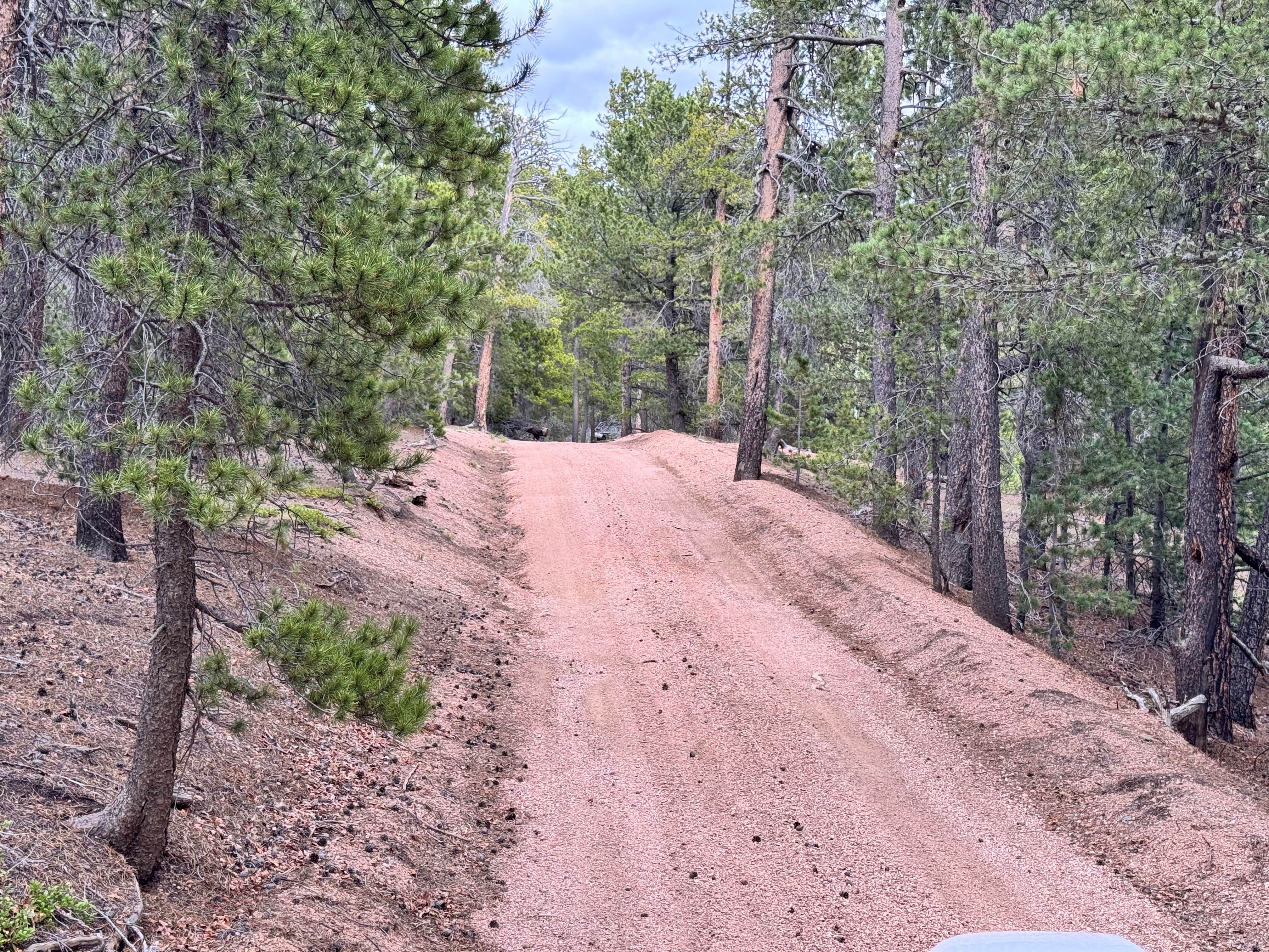 Saylor Park Rd FS 325