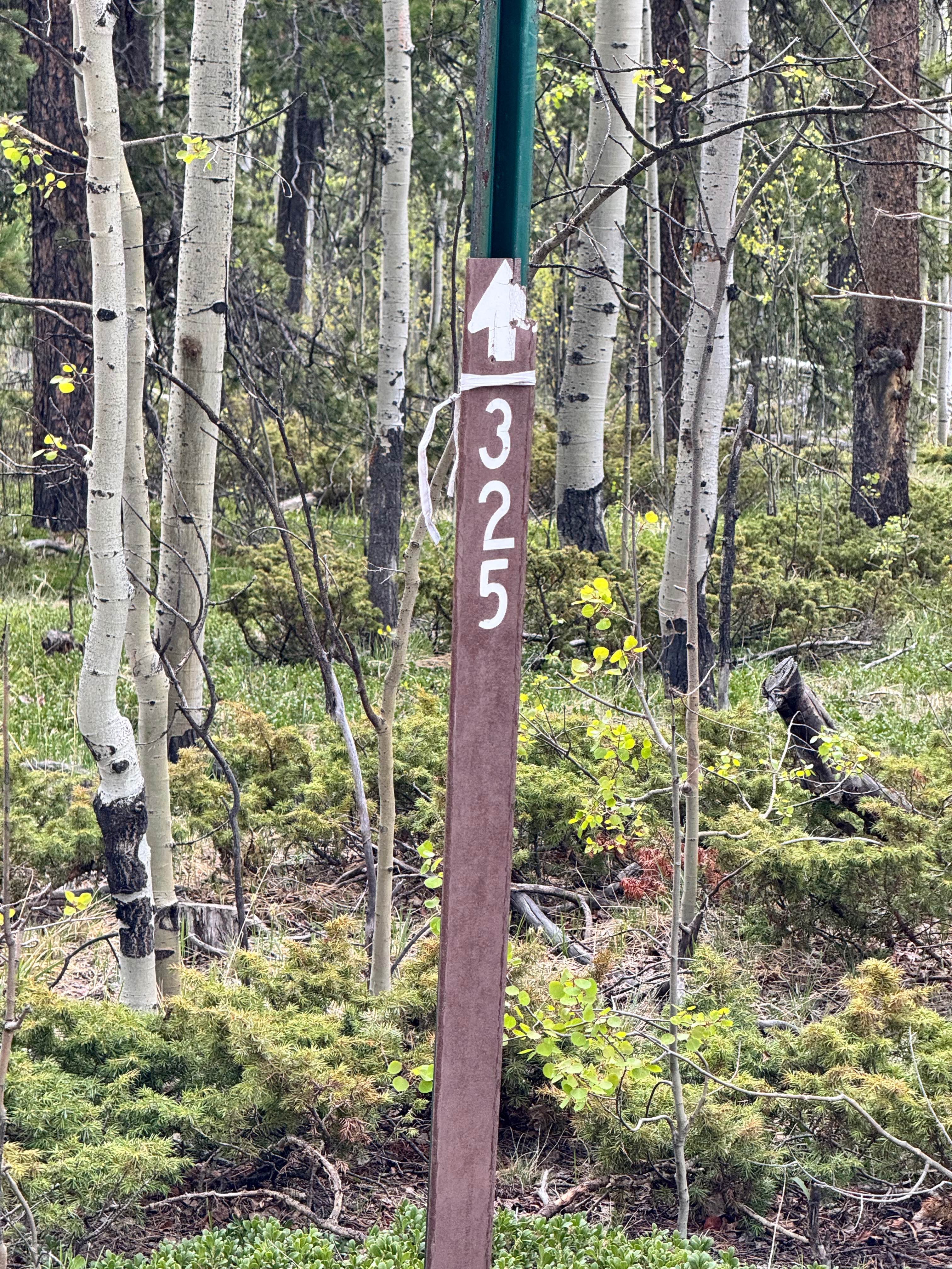 Saylor Park Rd FS 325