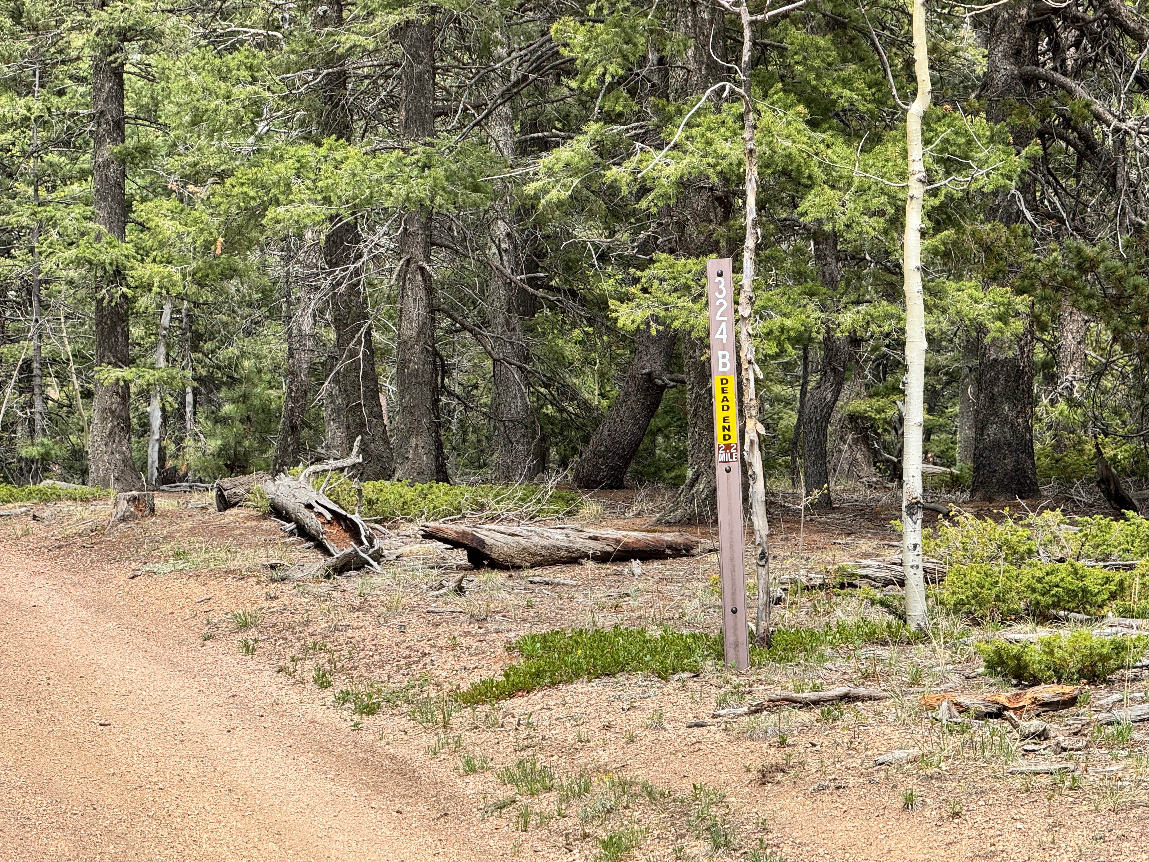 County Line Rd (FS324B)