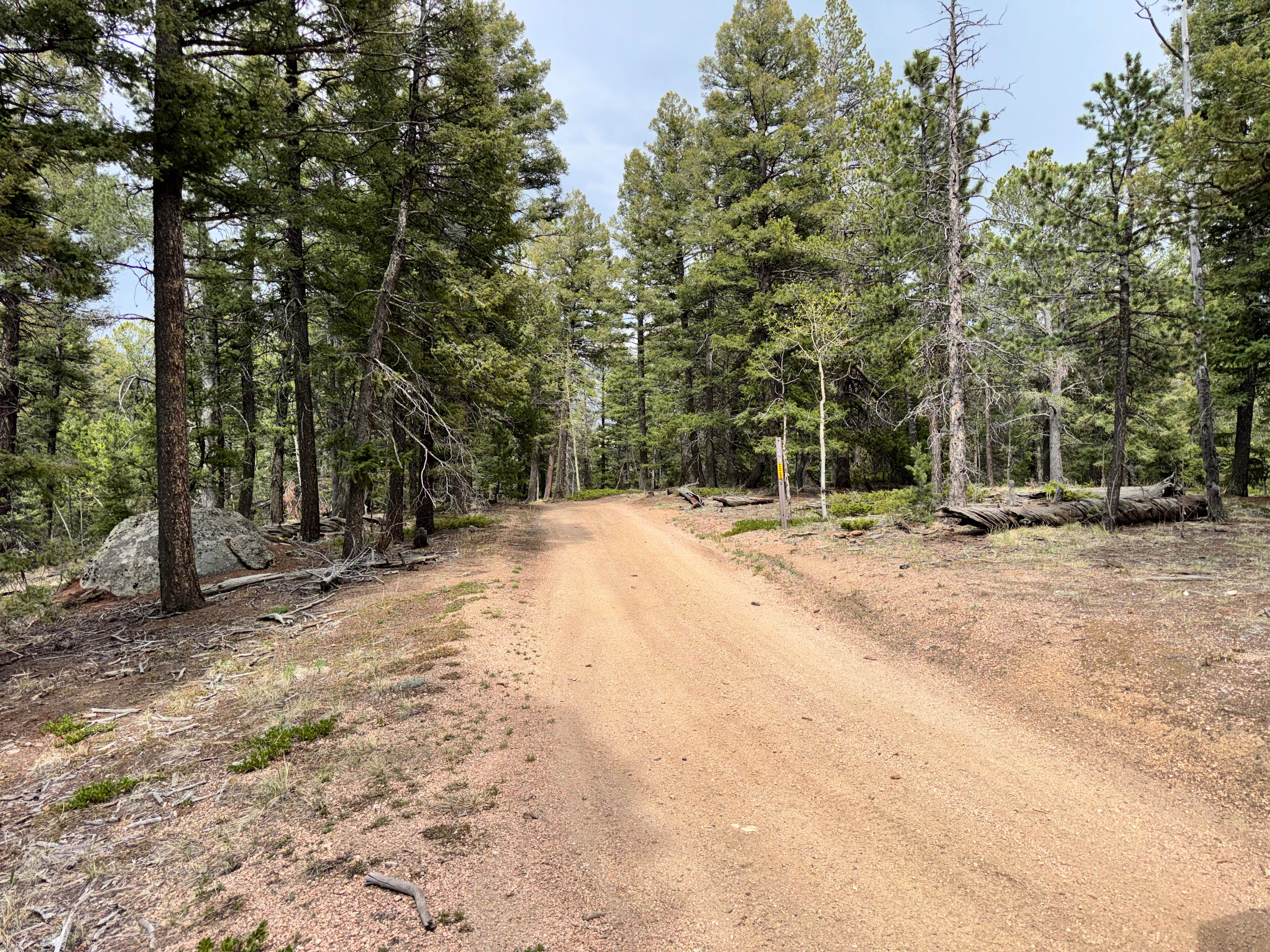 County Line Rd (FS324B)