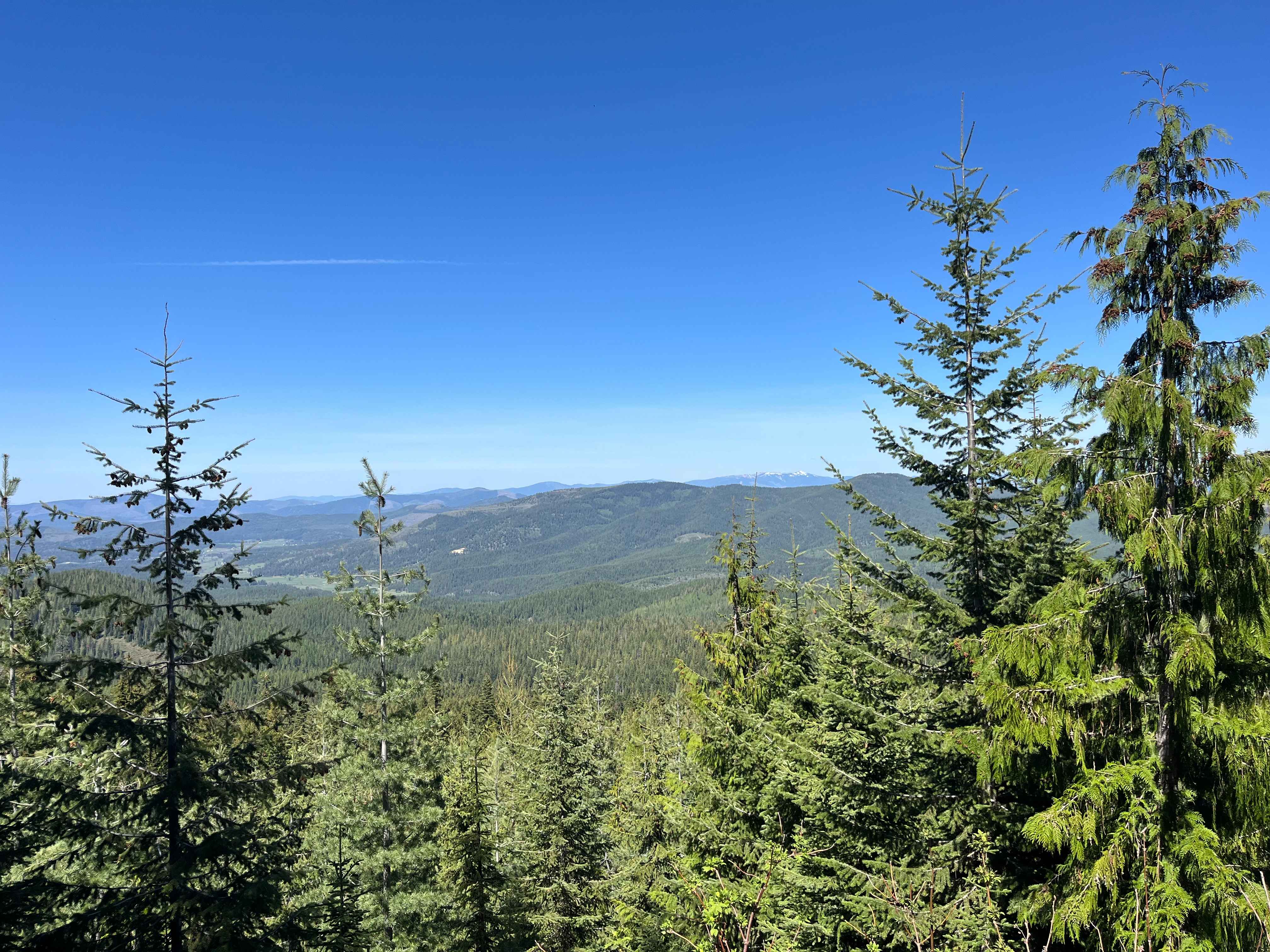 FS 3940 Cutoff Trail