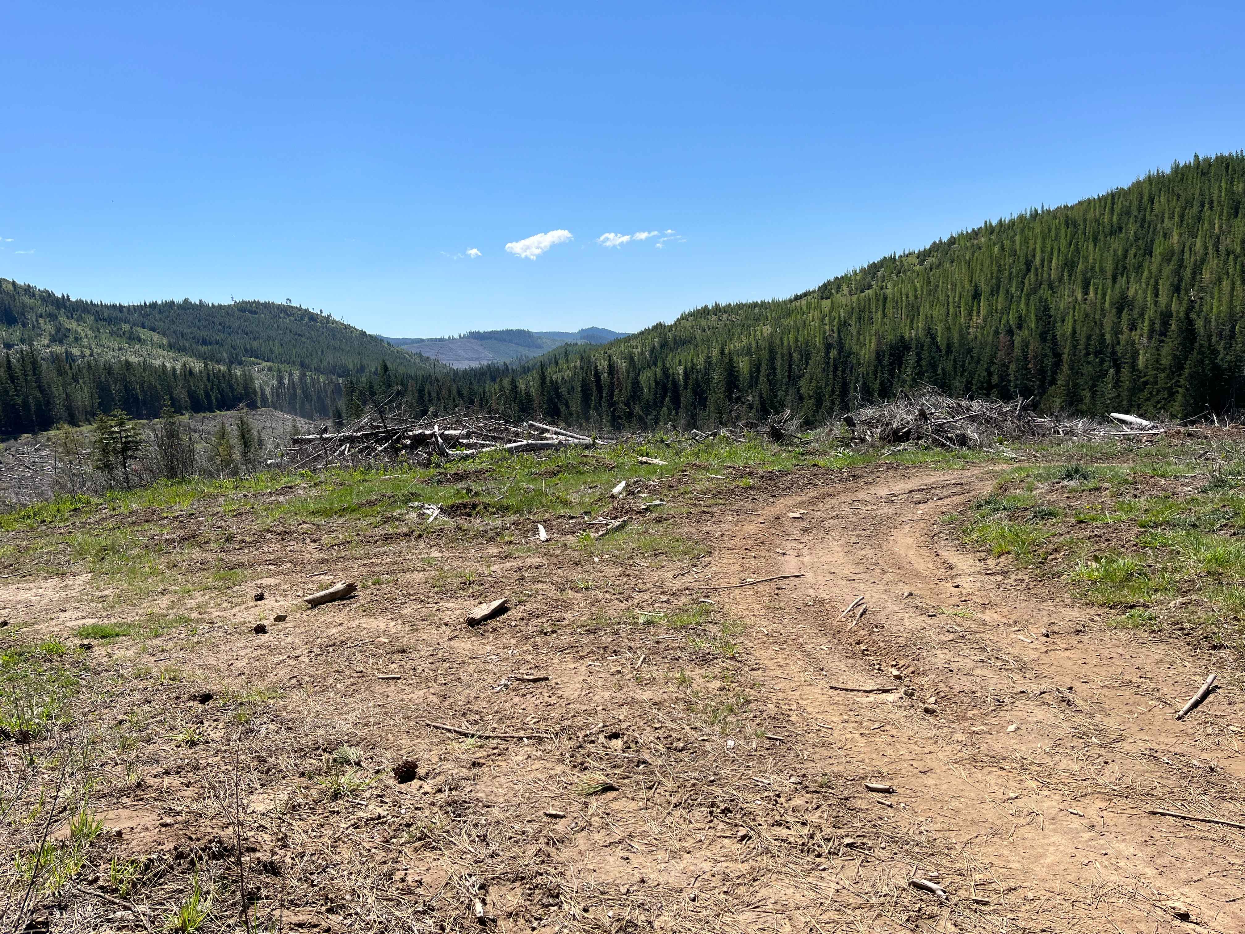 FS 3940 Cutoff Trail
