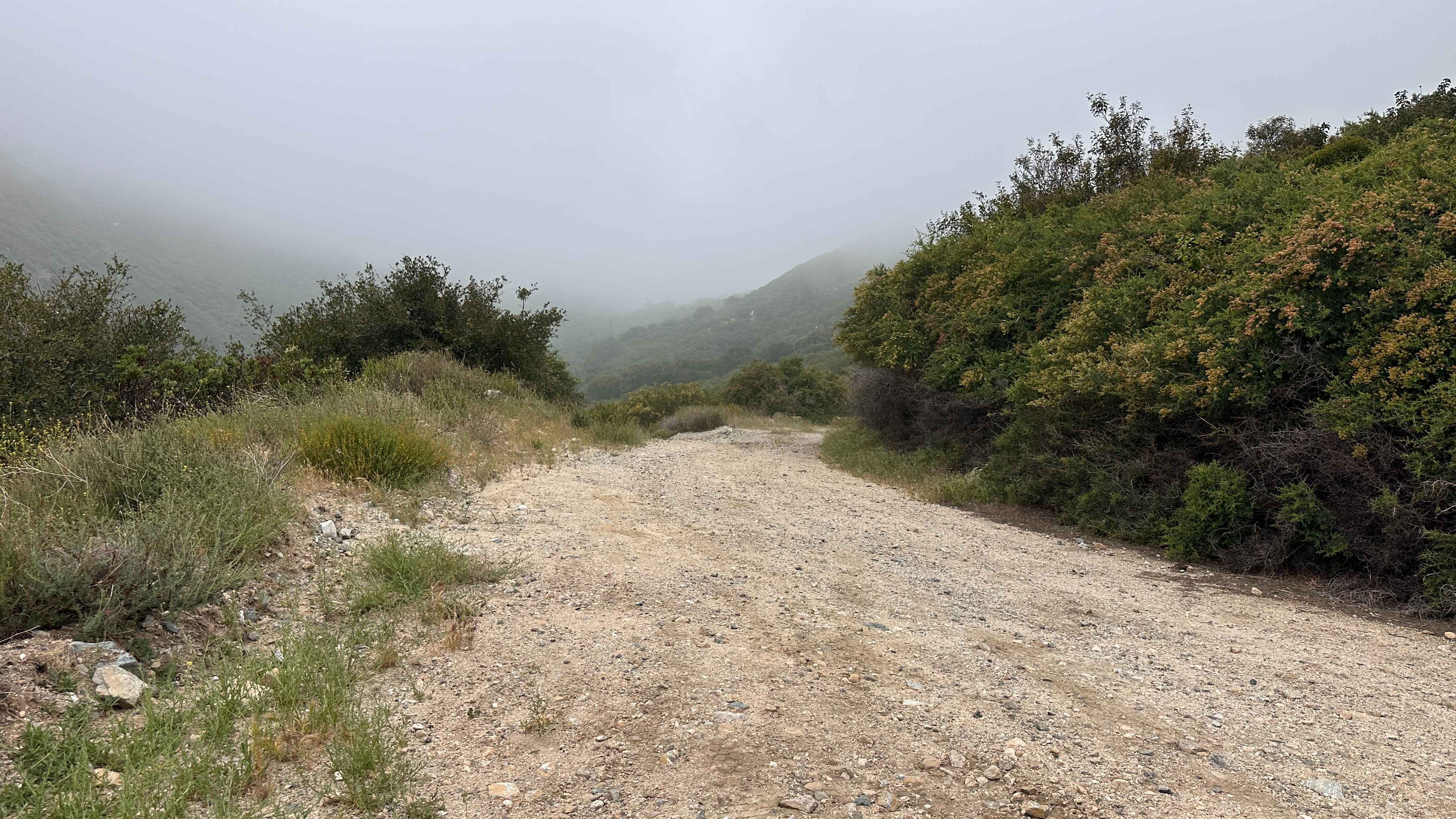 Wagon Track Trail