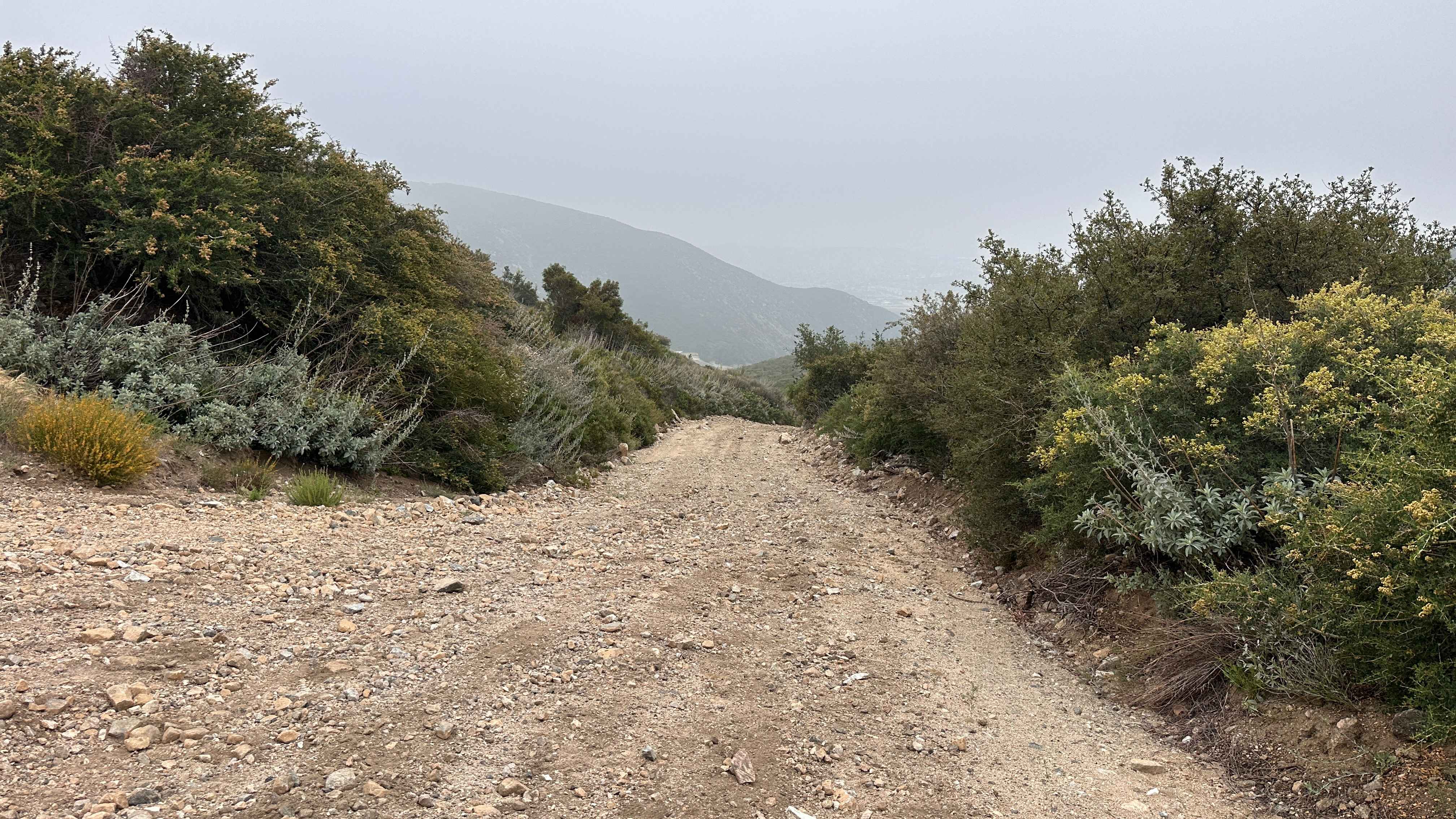 Wagon Track Trail