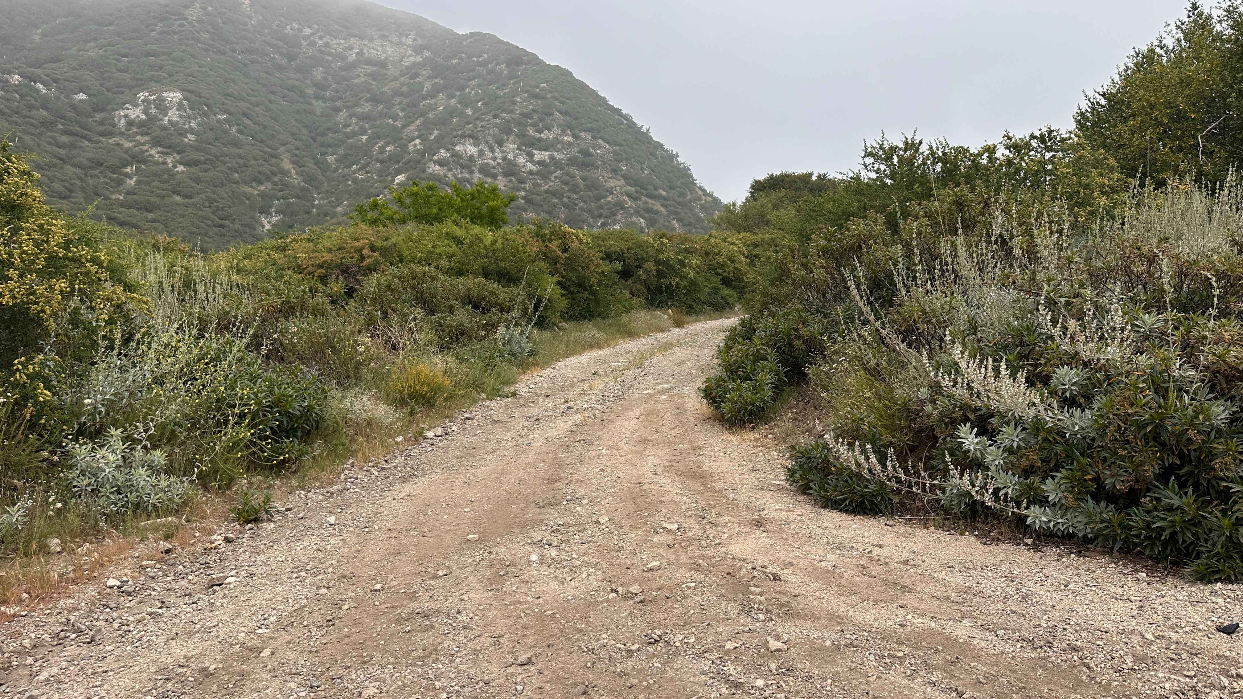 Split Rock Trek