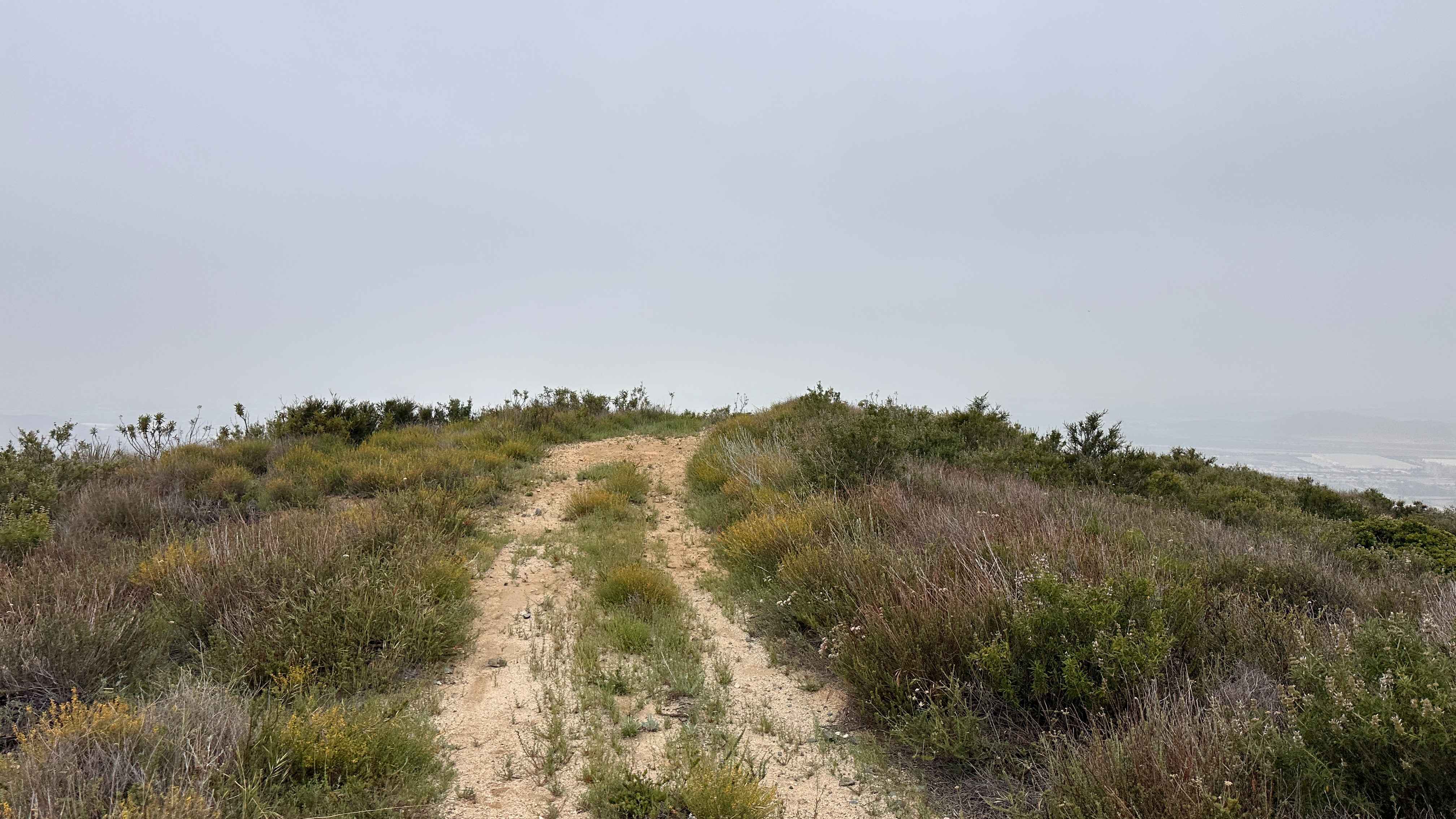 Tumbleweed Run