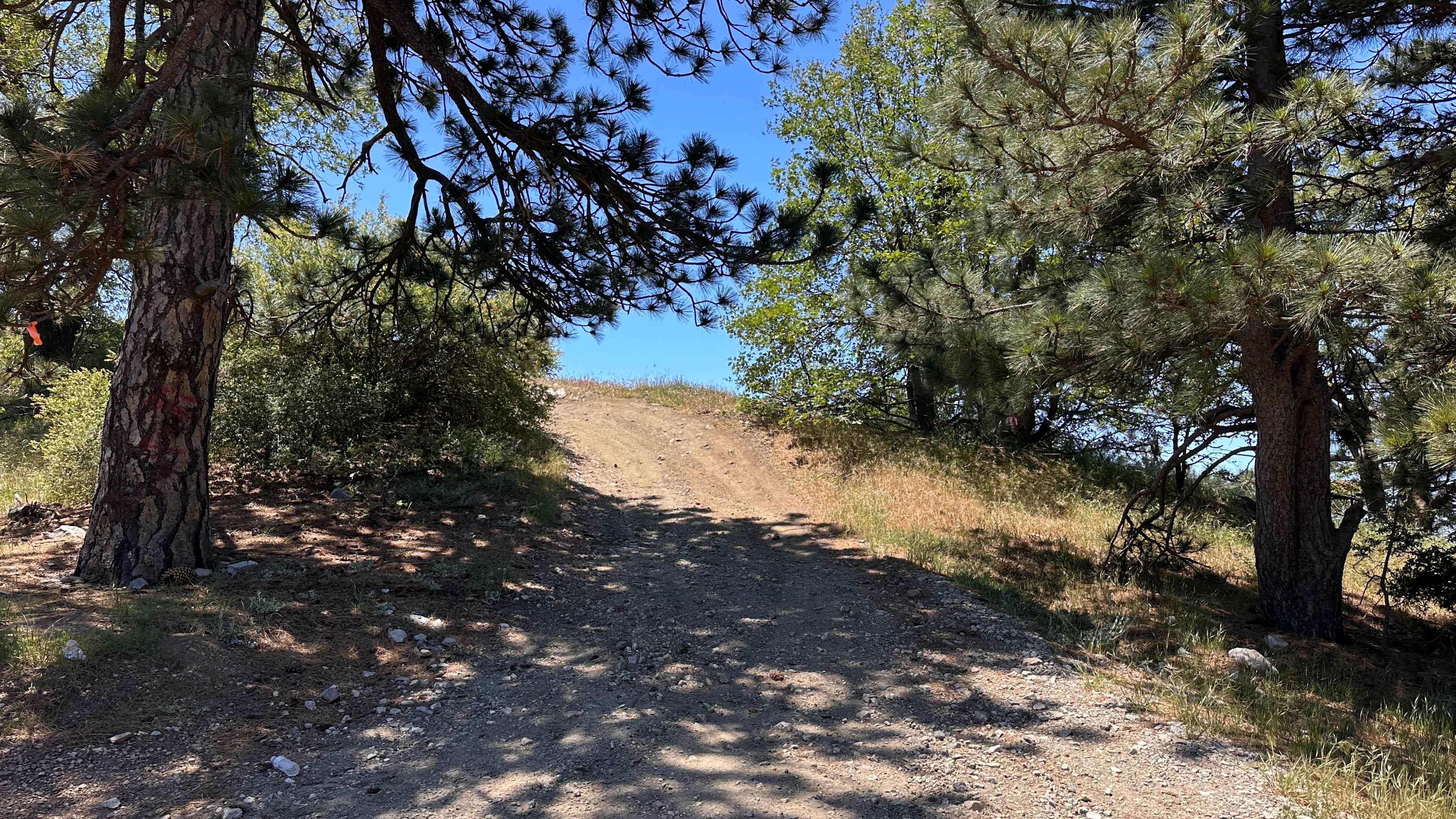 Mohave Indian Trail