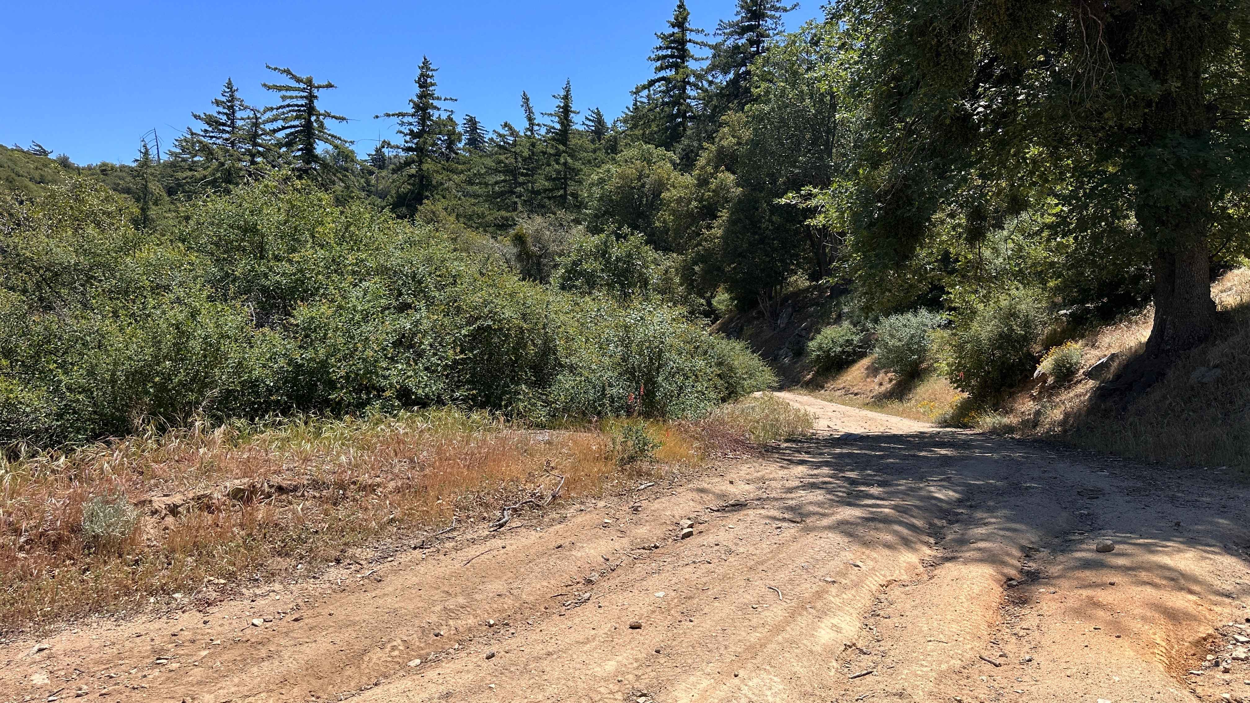 Suncrest Trail