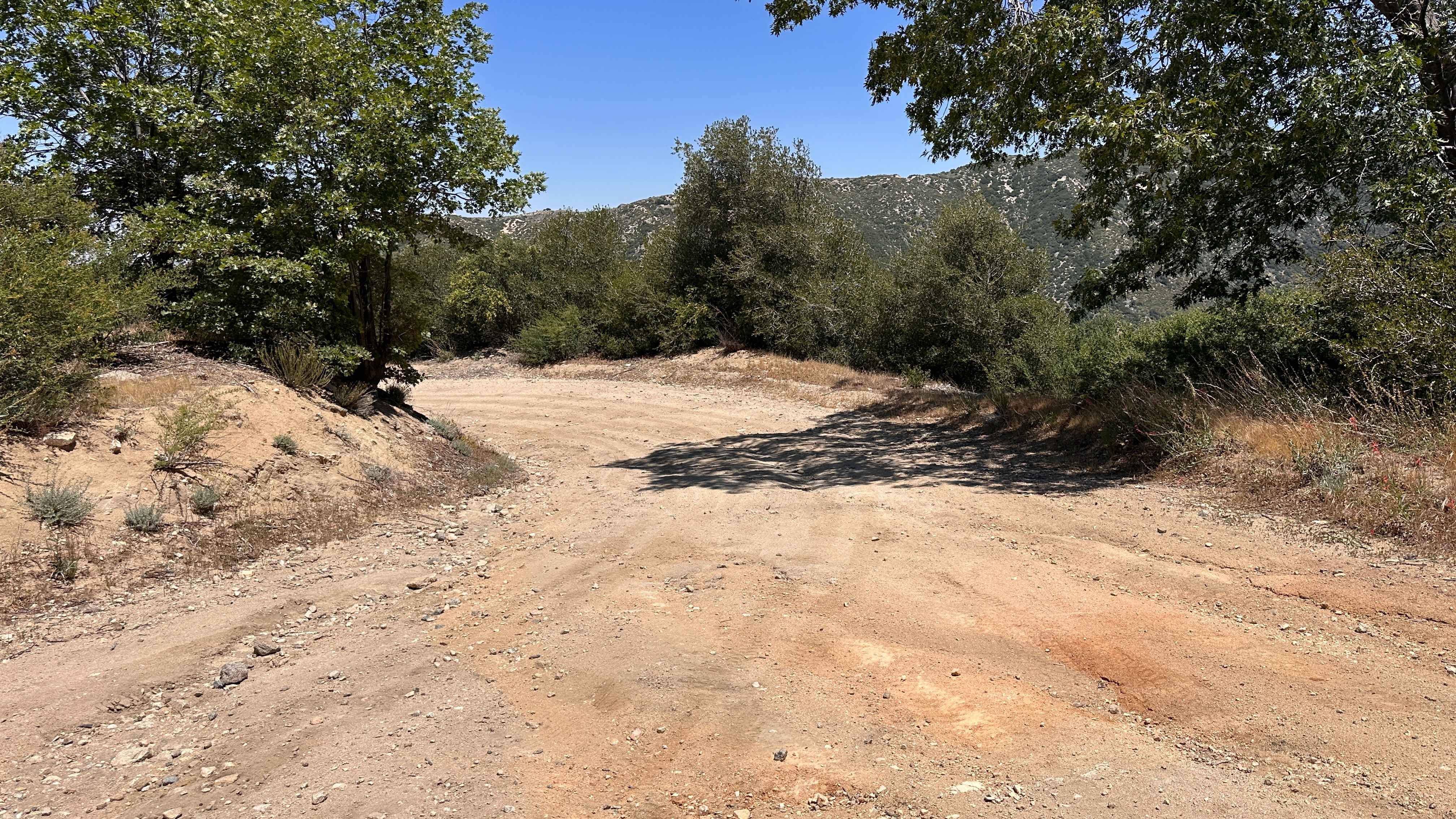 Suncrest Trail