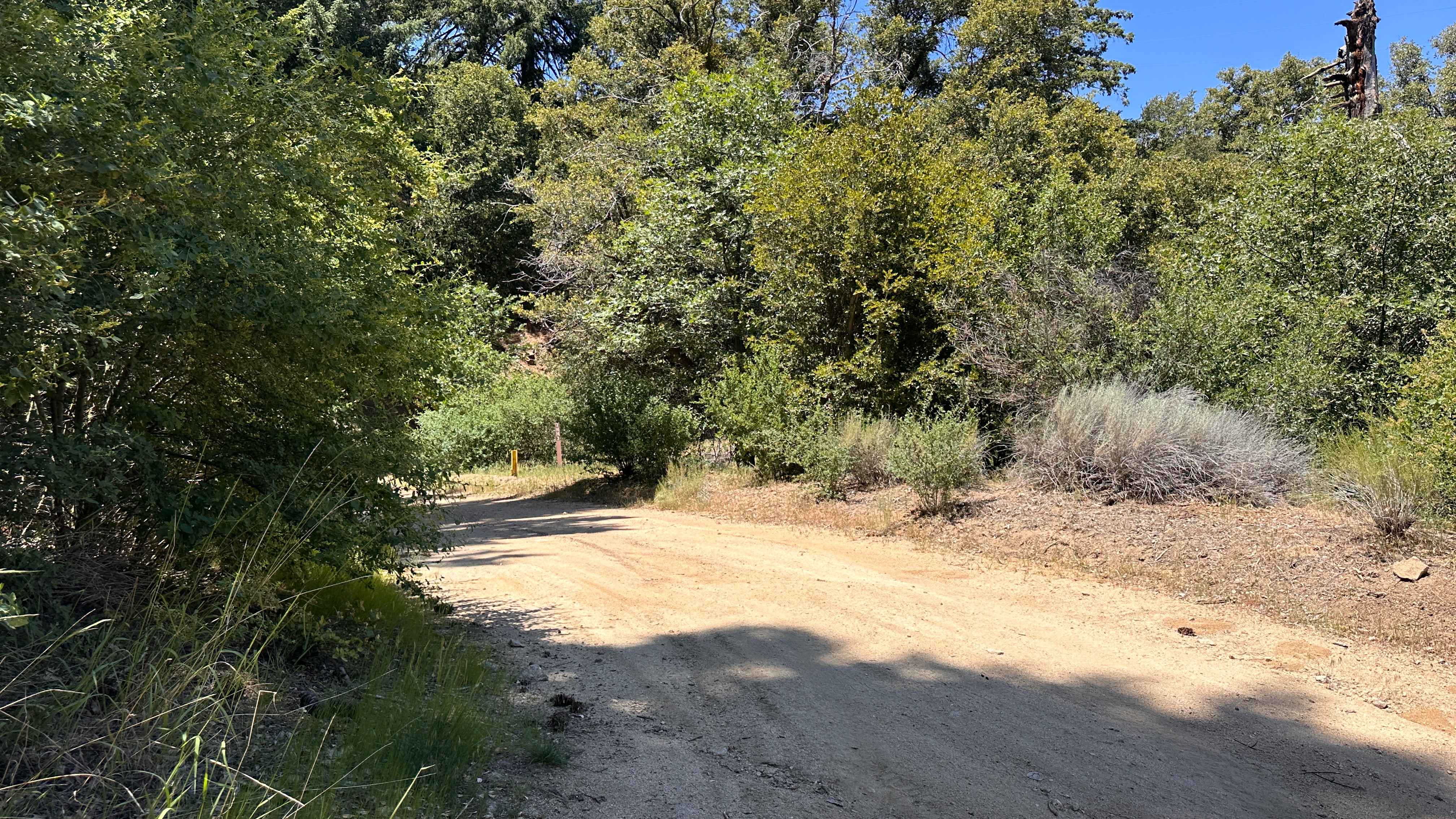 Firebreak Trail