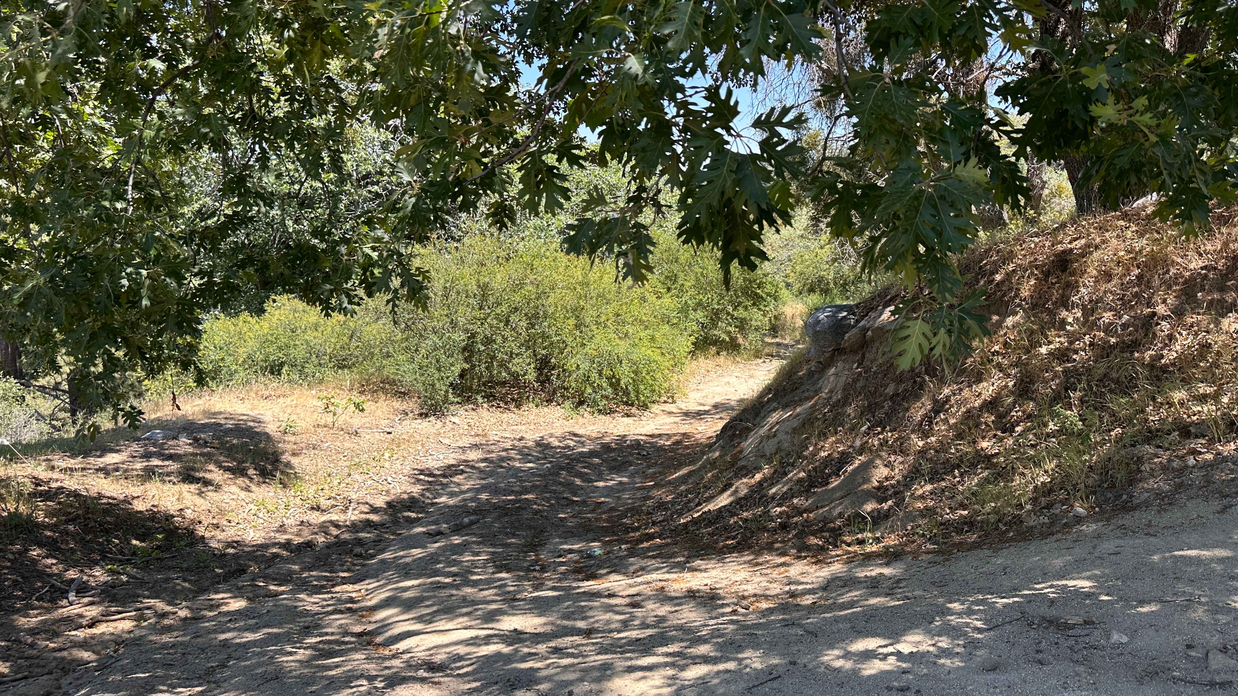 Firebreak Trail