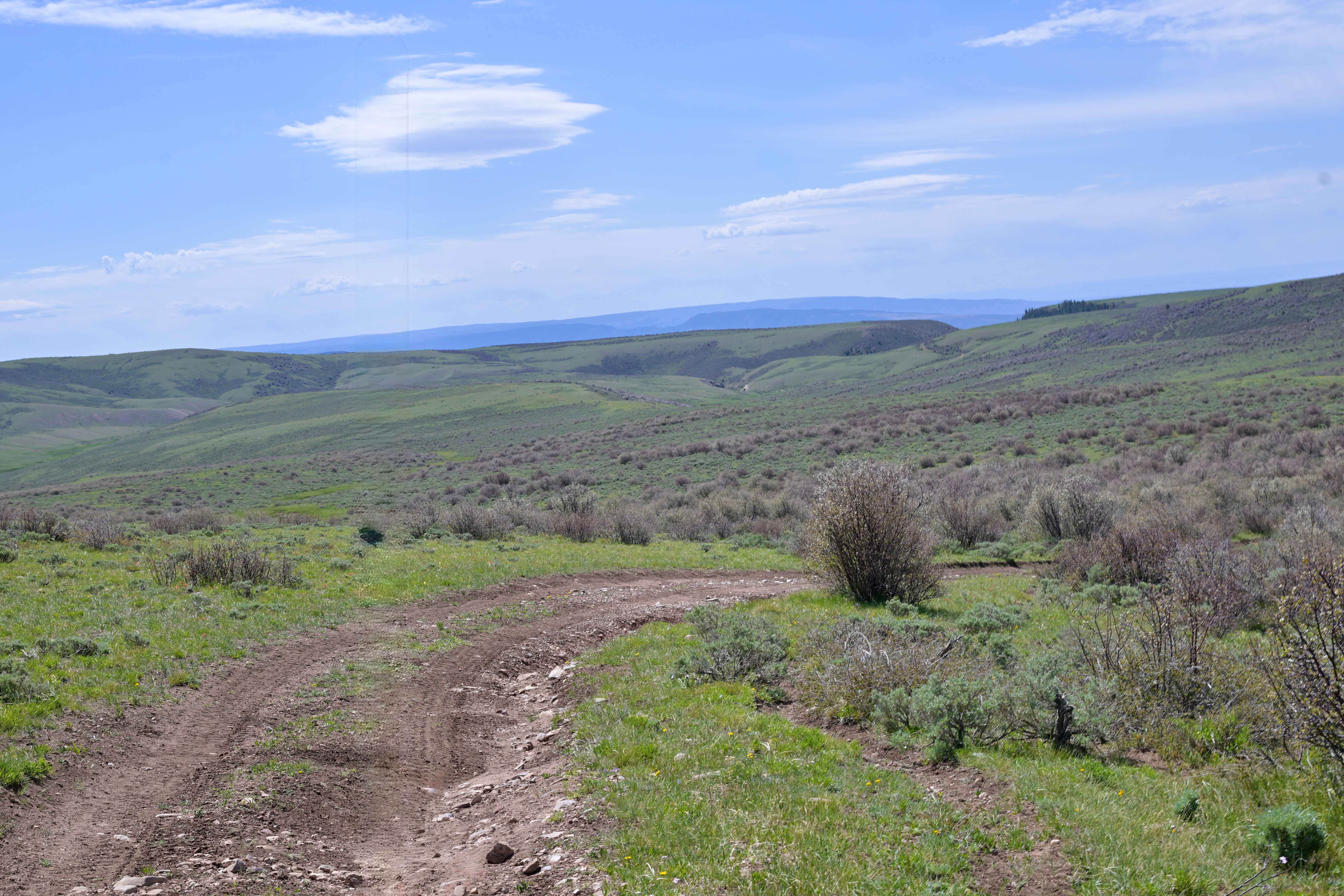Bassett Creek - FS 10579
